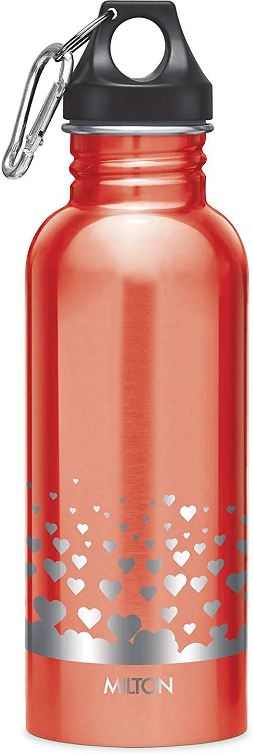 MILTON ALIVE 750 750 ml Steel Bottle
