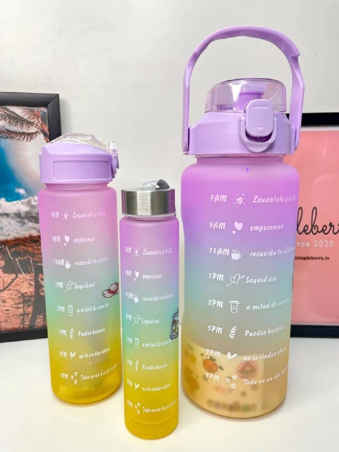 ALFONSIYAZ Set of 3 Water Bottle 2000ML, 800ML, 200ML with Motivational Time Marker 3000 ml Silicone, Plastic Bottle