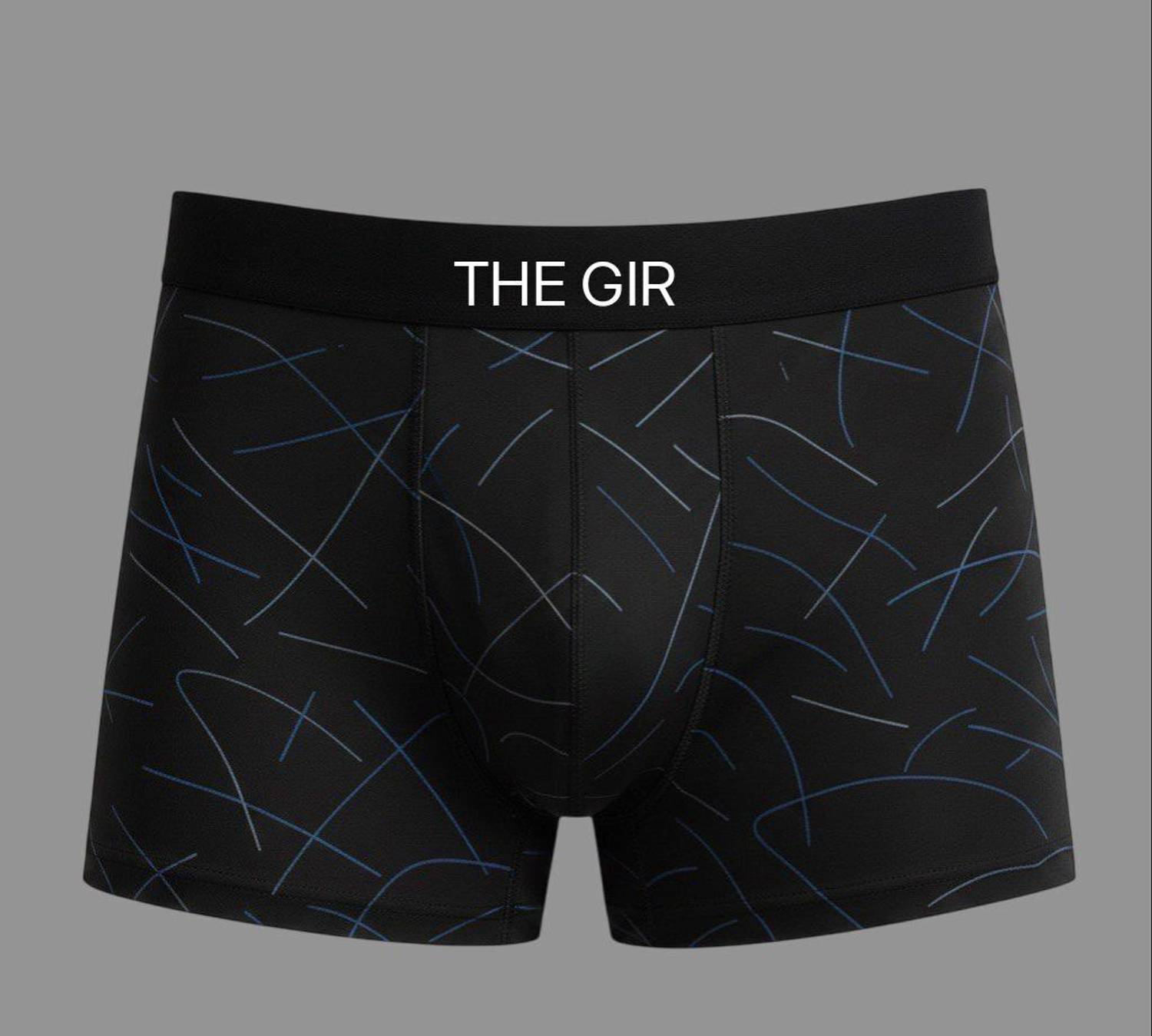 Thegir Men Brief Pack of 4 - Image 2