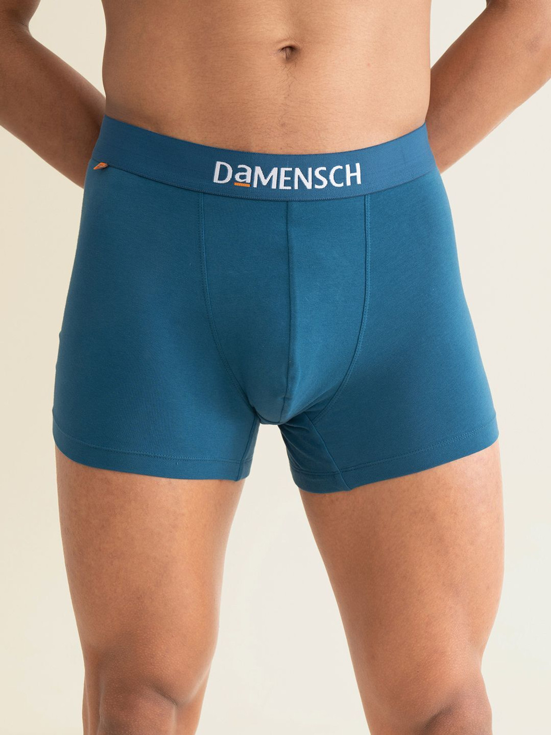 Image of Damensch Men Brief