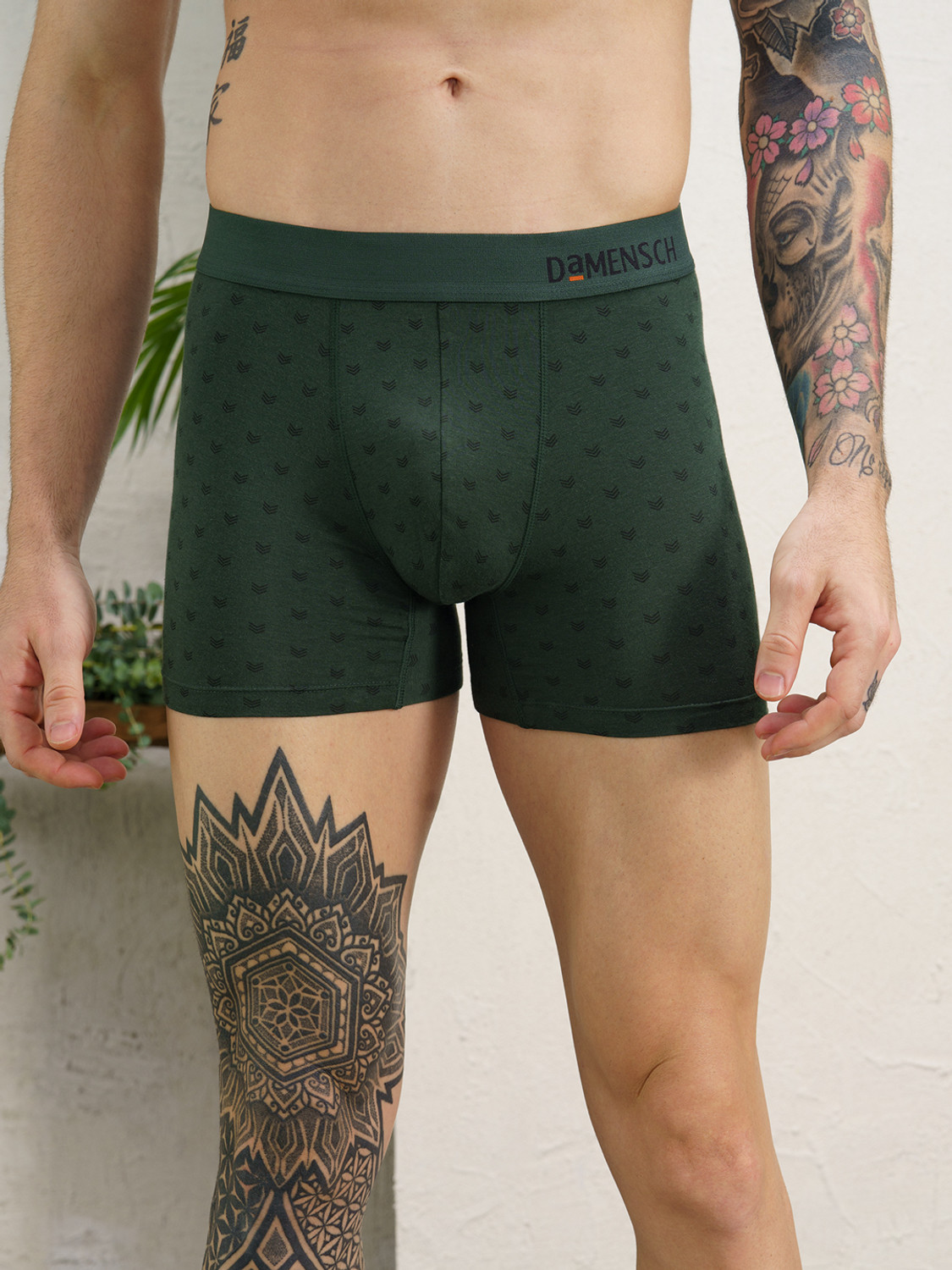 Image of Damensch Men Brief