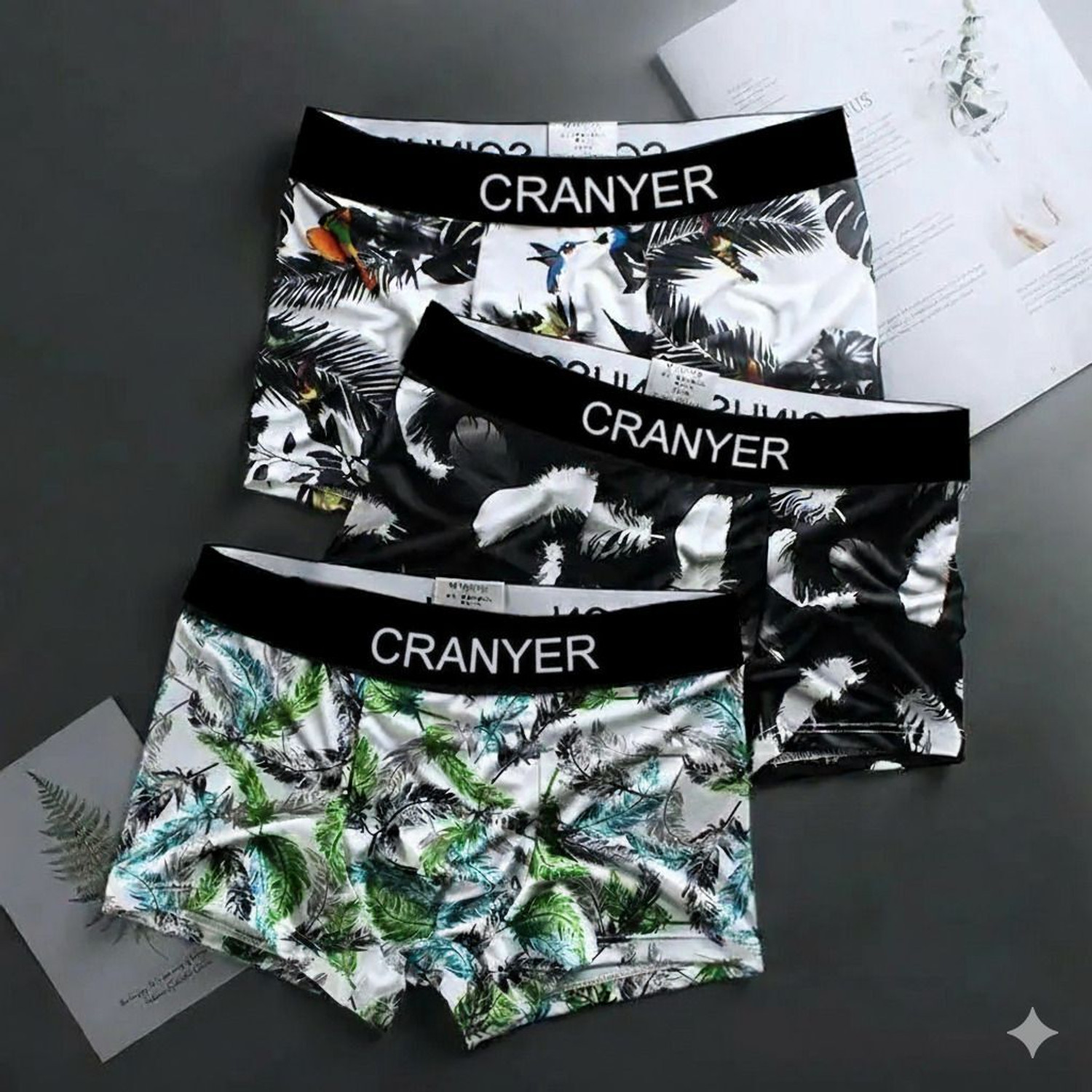 Image of CRANYER Men Brief