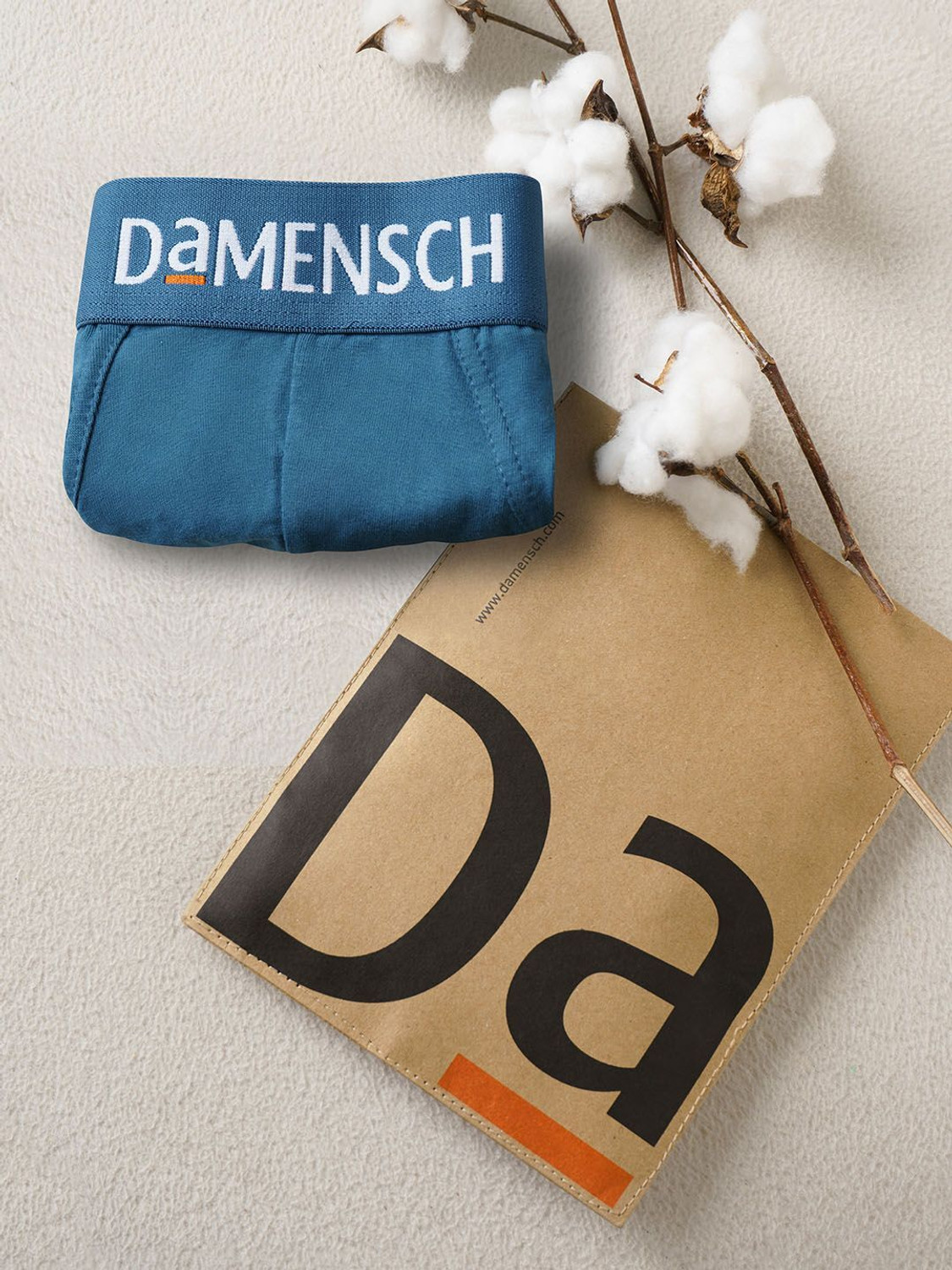 Image of Damensch Men Brief