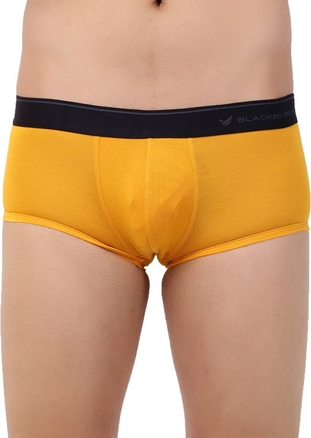 Blackberrys Men Brief
