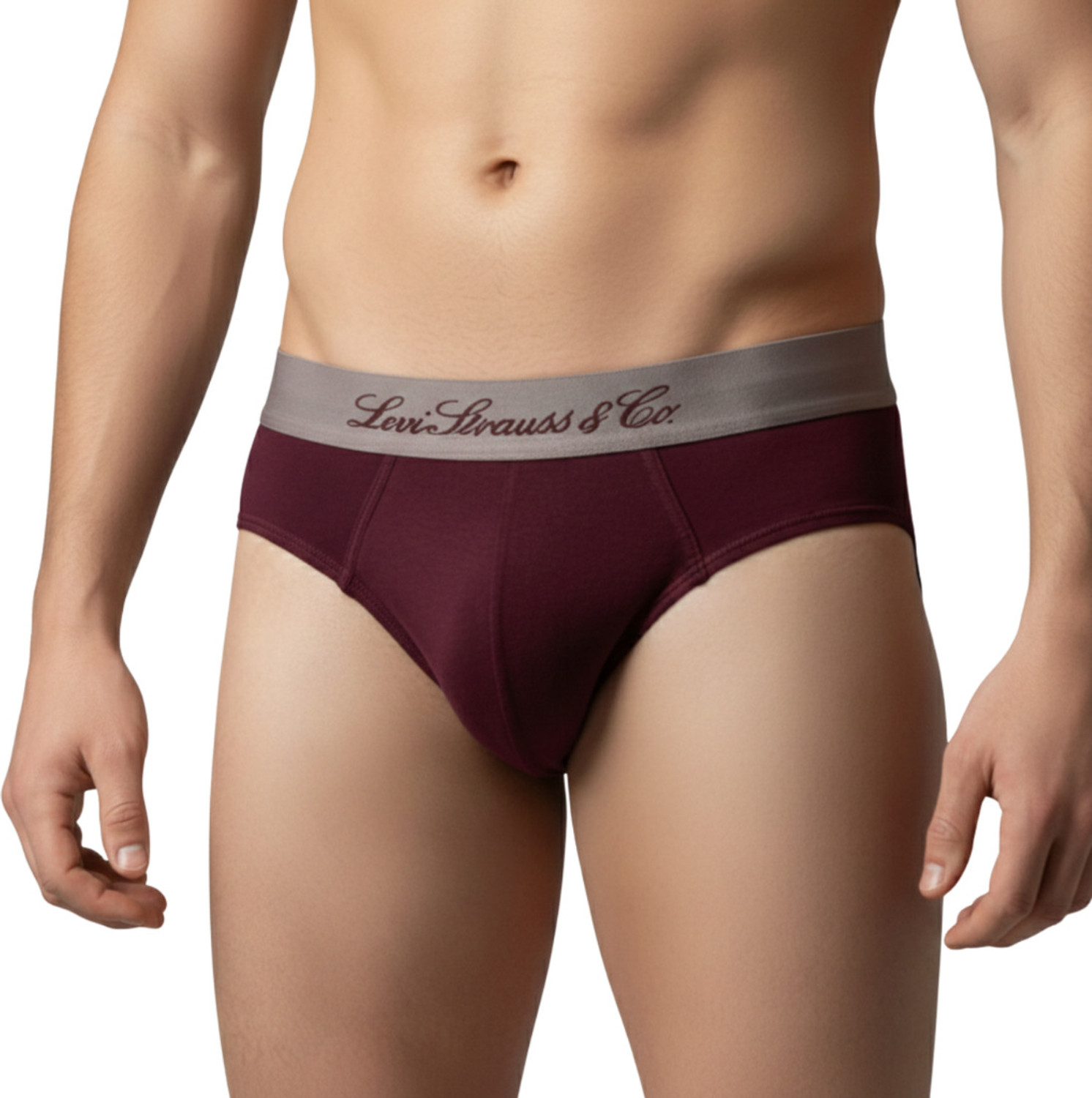 Image of LEVI'S Men 073 Cotton Spandex 4-Way Stretch Double-Layered Pouch Premium Elite Brief