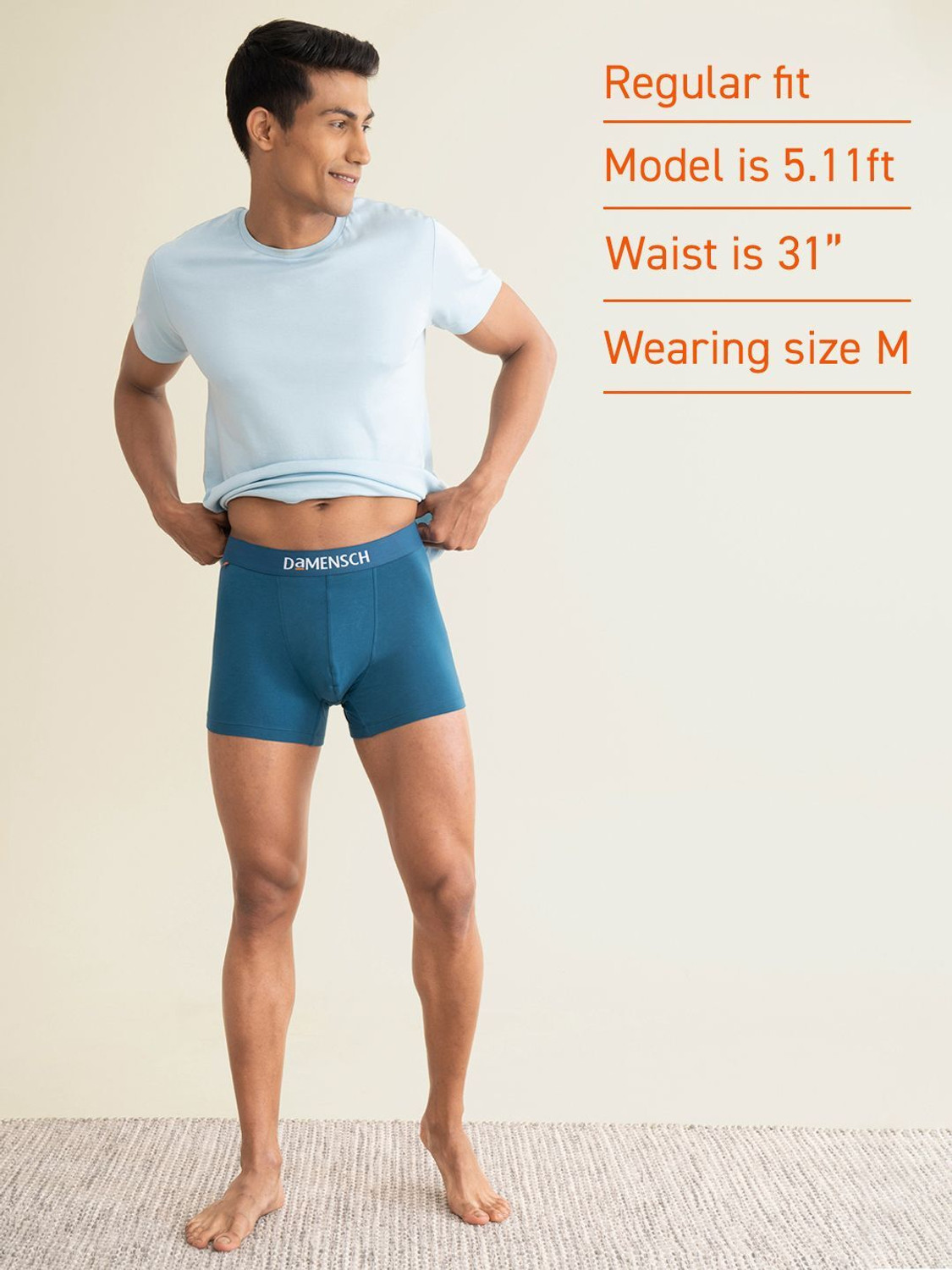 Image of Damensch Men Brief