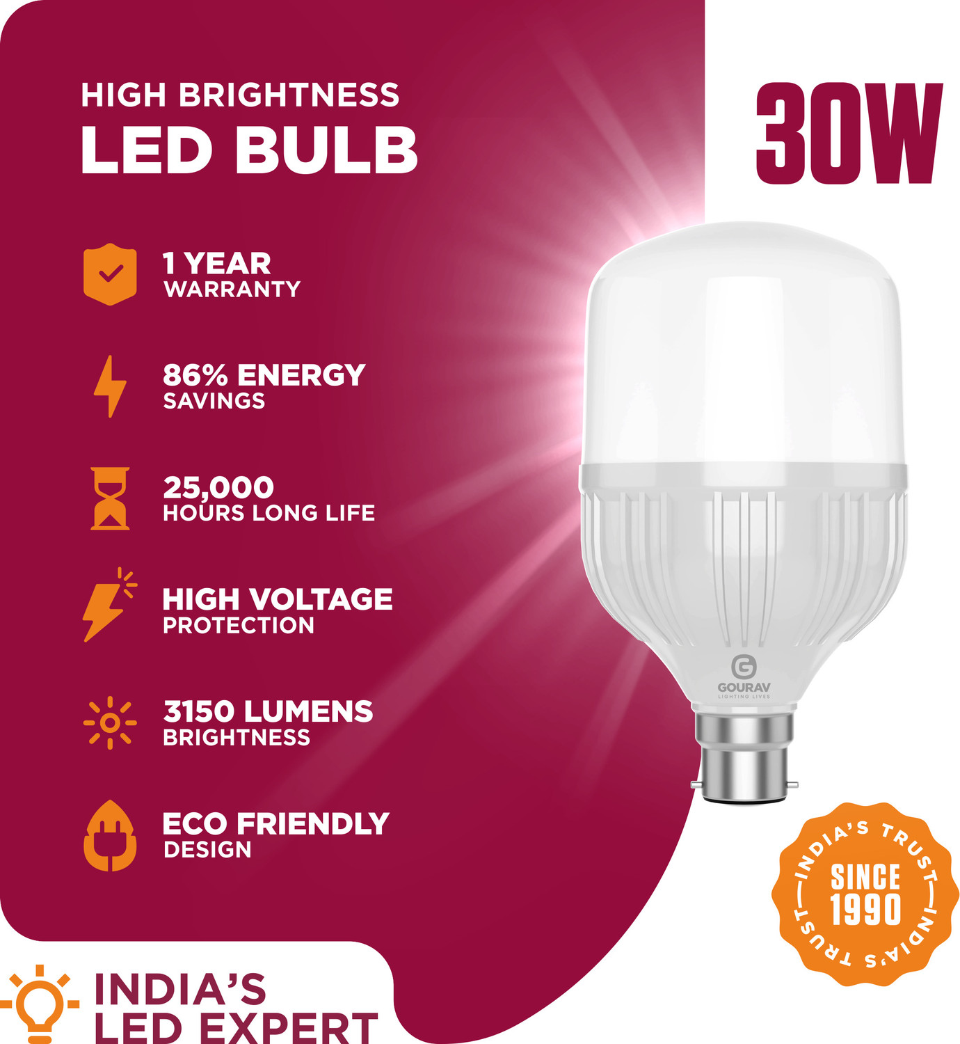 Image of GOURAV 30 W Eye Safety Compliance Globe B22 LED Bulb