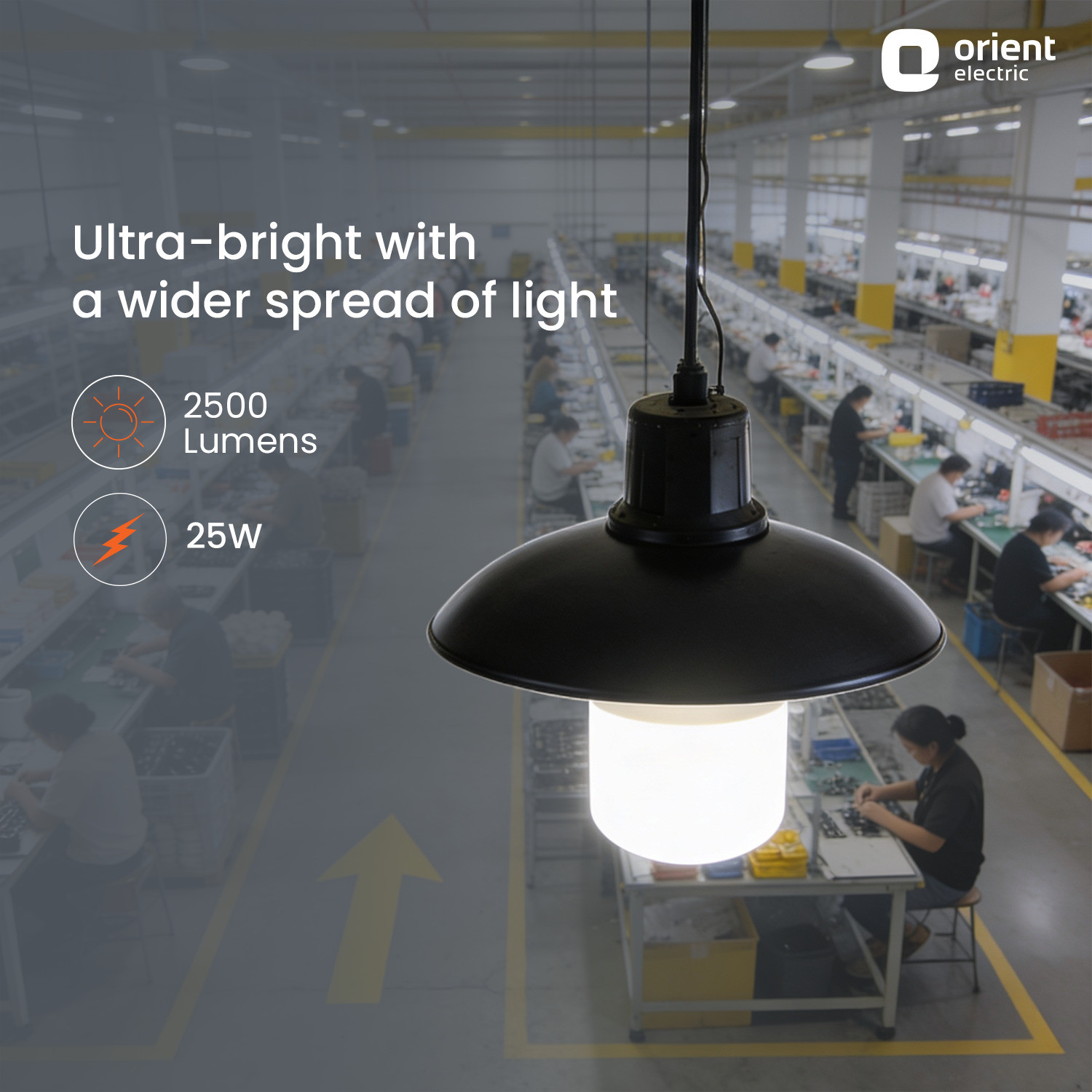 Image of Orient Electric 25 W Basic Round B22 LED Bulb