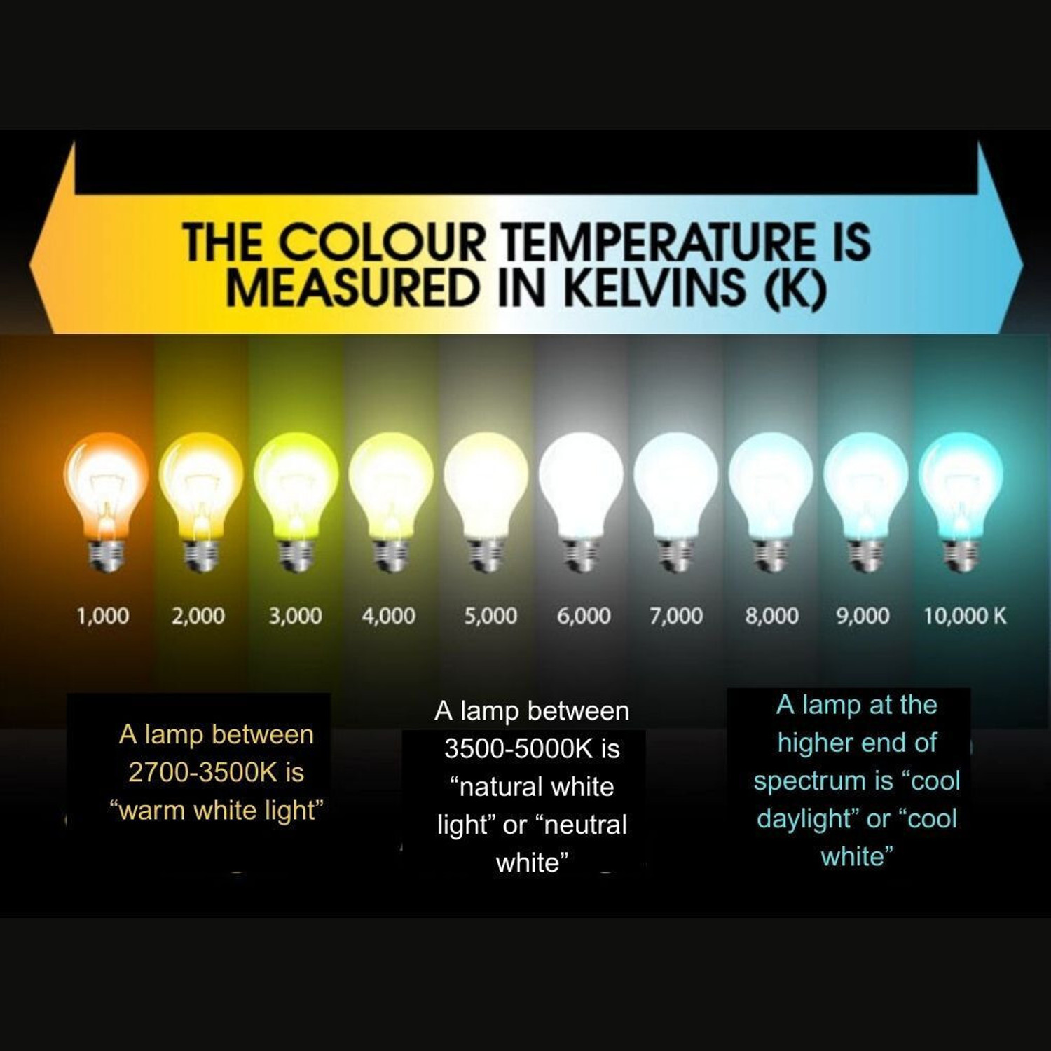 Image of LACT ENTERPRISE 25 W Basic T-Bulb B22 LED Bulb