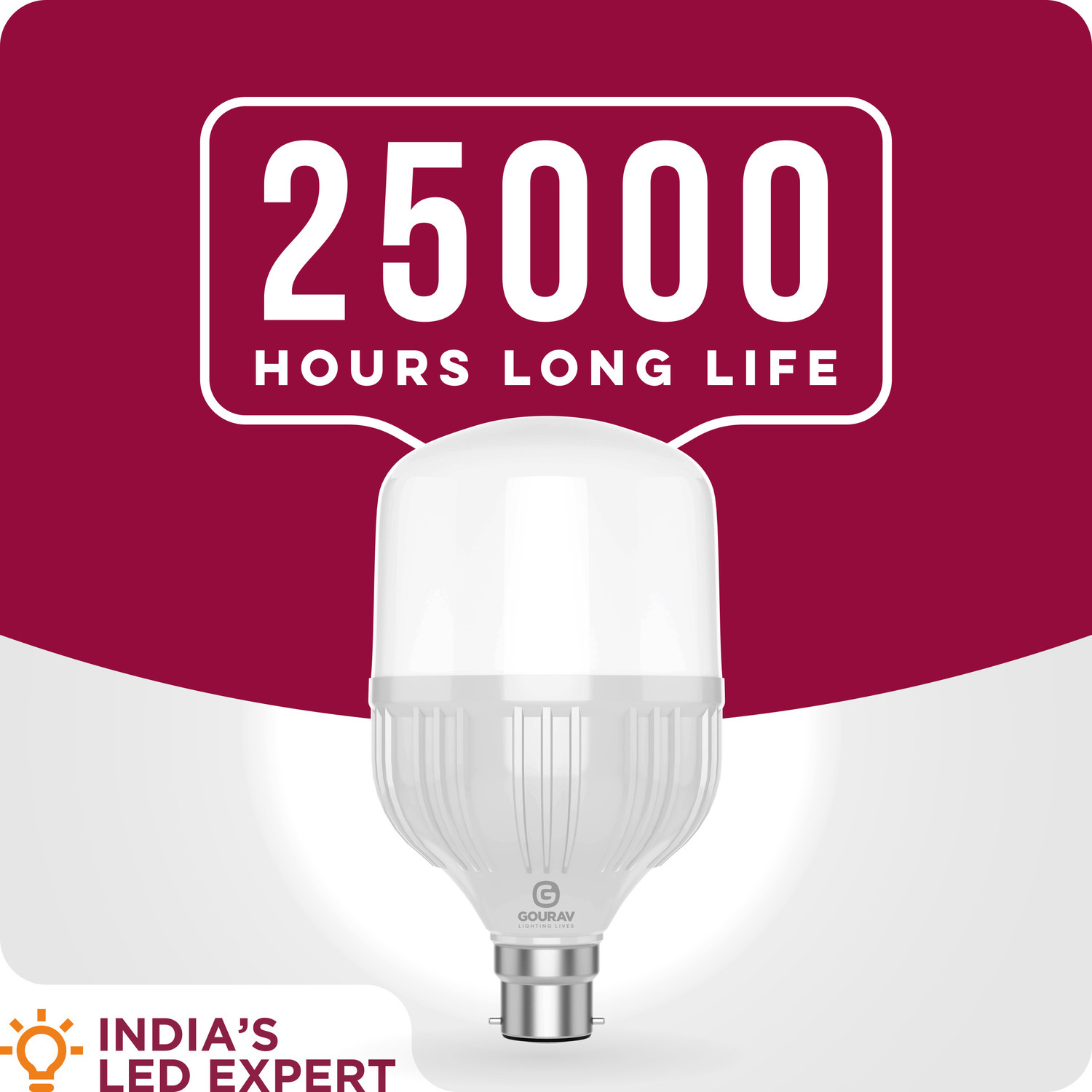 Image of GOURAV 30 W Eye Safety Compliance Globe B22 LED Bulb