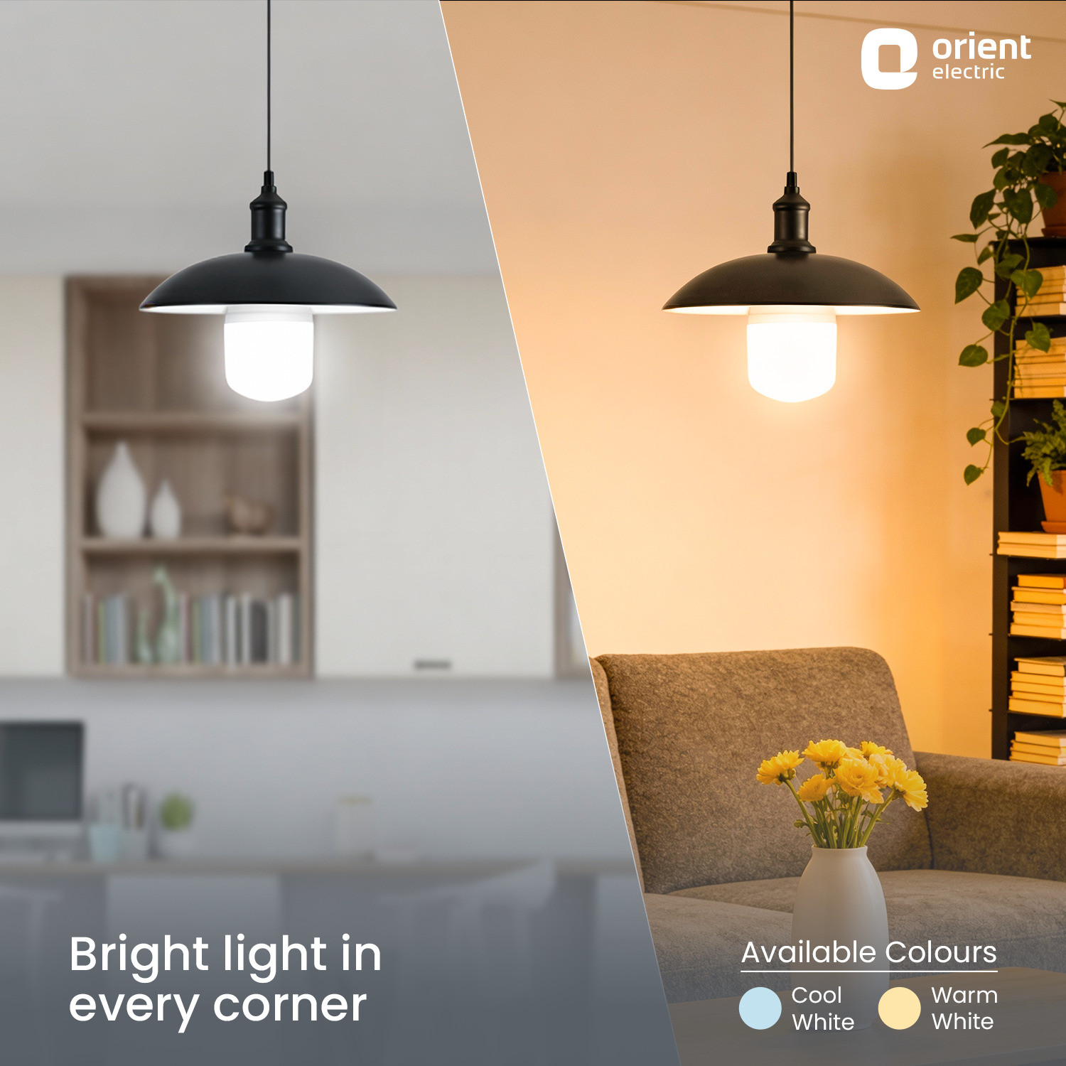 Image of Orient Electric 25 W Basic Round B22 LED Bulb