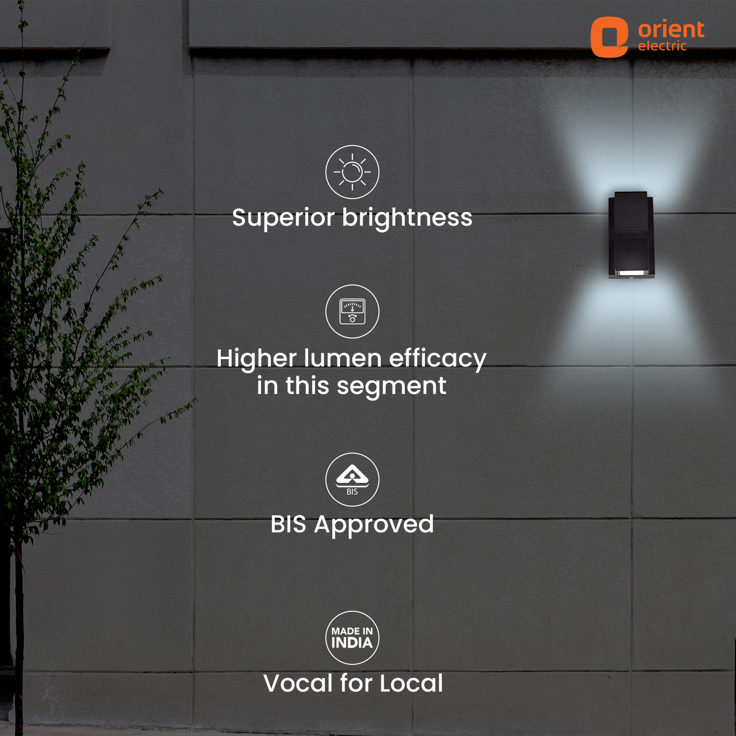 Image of Orient Electric 6 W Basic Round B22 LED Bulb