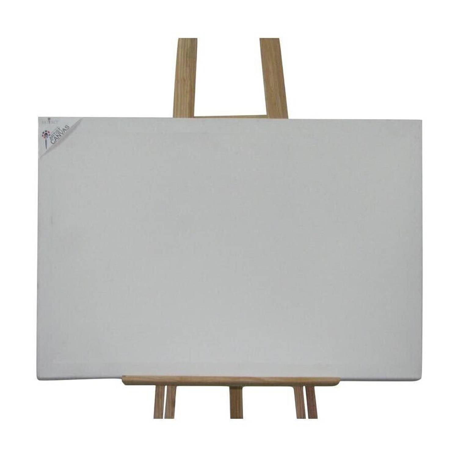 Artifact 20" X 20" Cotton Medium Grain Pre Stretched Canvas (Set of 1)