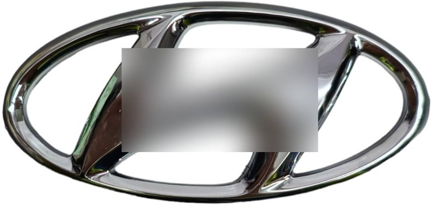 Auto-Ex Front Grill Car Logo/Emblem Eon (2011 to 2019) / i10 (2010 to 2013) Car Grill Cover