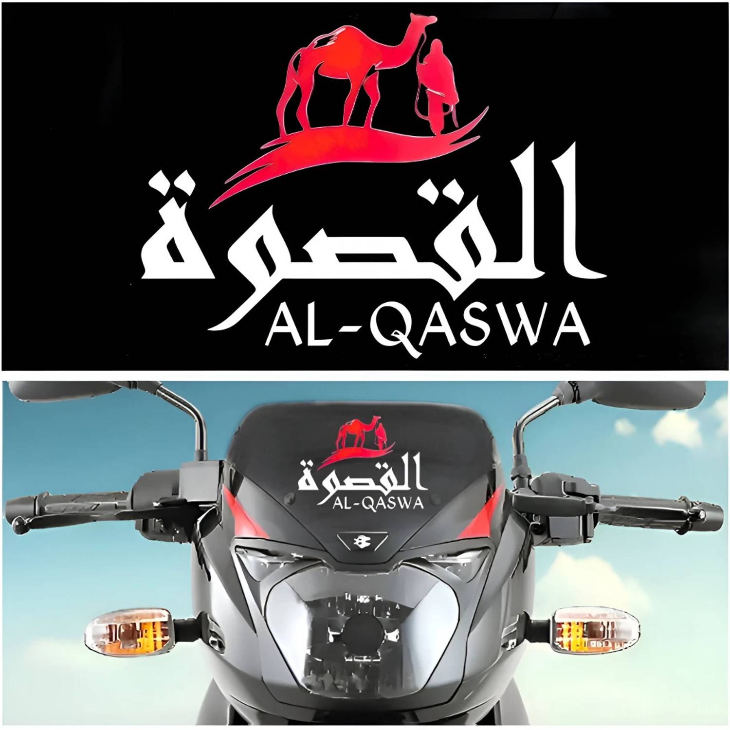 1-all-qaswa-02-vinylatoz-