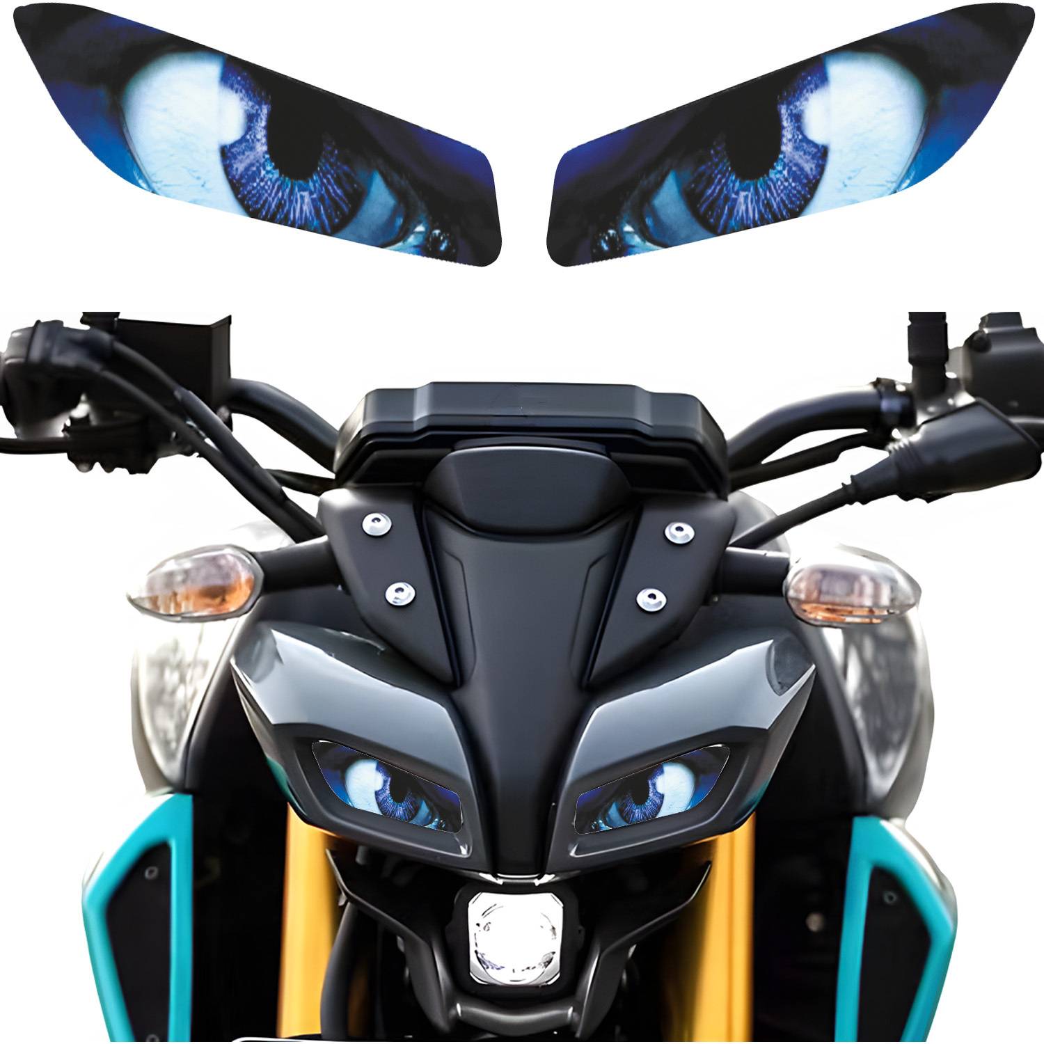 BG COMPANY Sticker & Decal for Bike