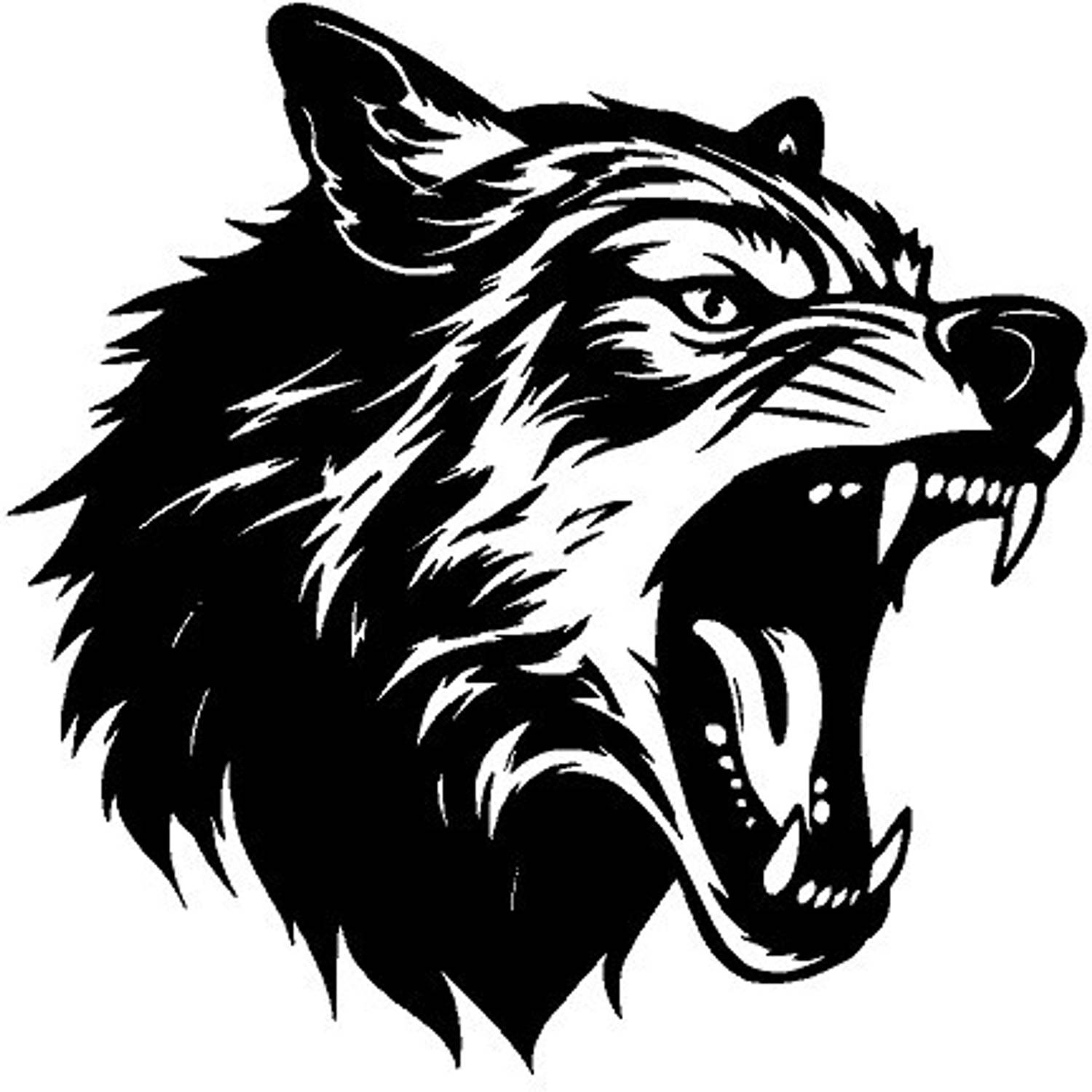 AarnaDecal Sticker & Decal for Car & Bike