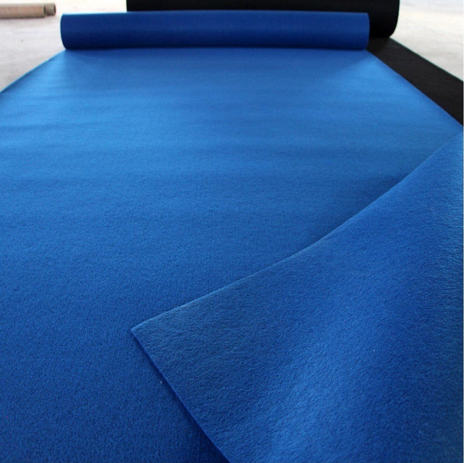 Image of KAYNAT CARPET 5 ft X 30.1 ft Nylon Carpet