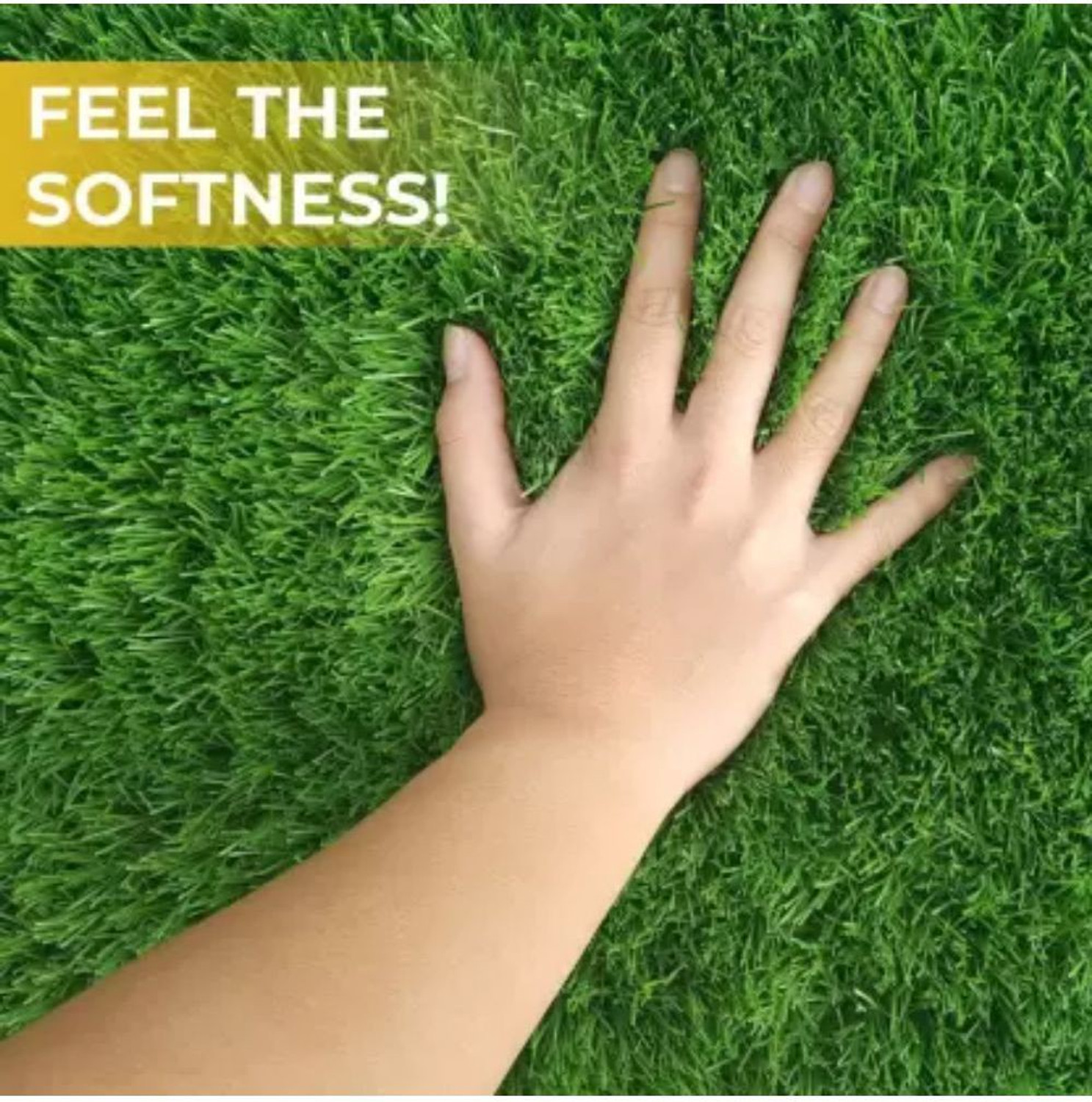 Image of CHETANYA LOOMTEX 4 ft X 10 ft Polypropylene Carpet