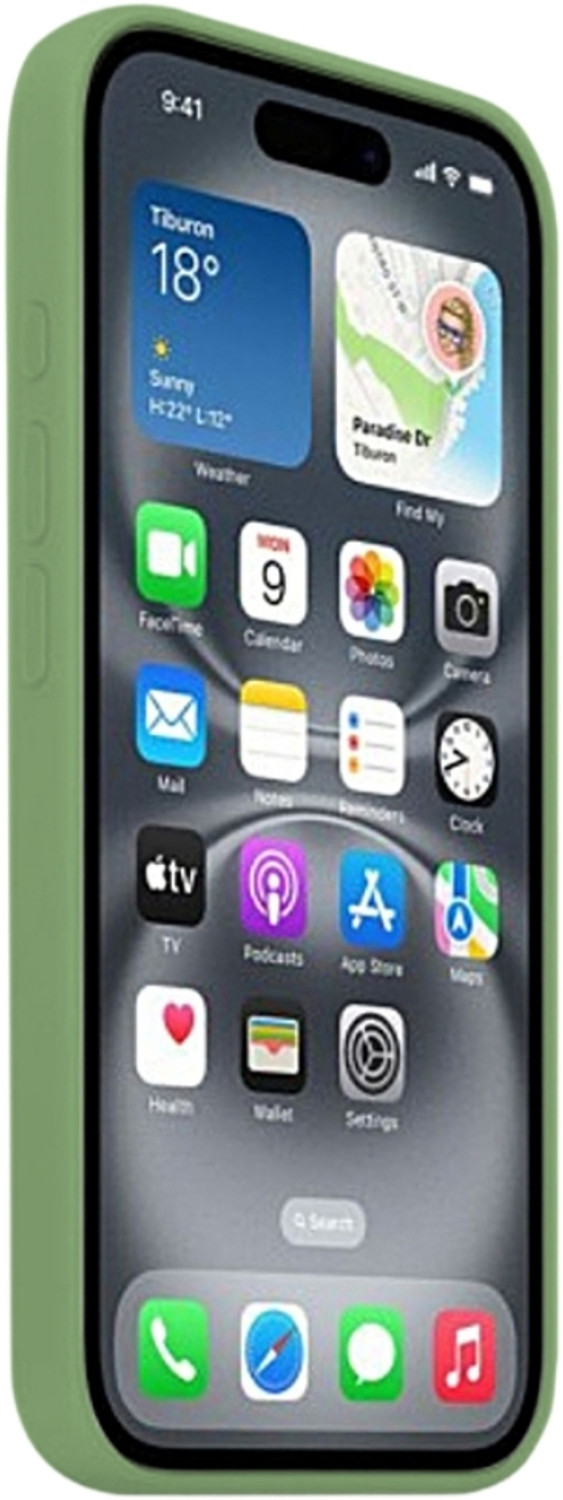 Image of FABULANE Back Cover for IPHONE 17 (Green, Shock Proof, Silicon, Pack of: 1)