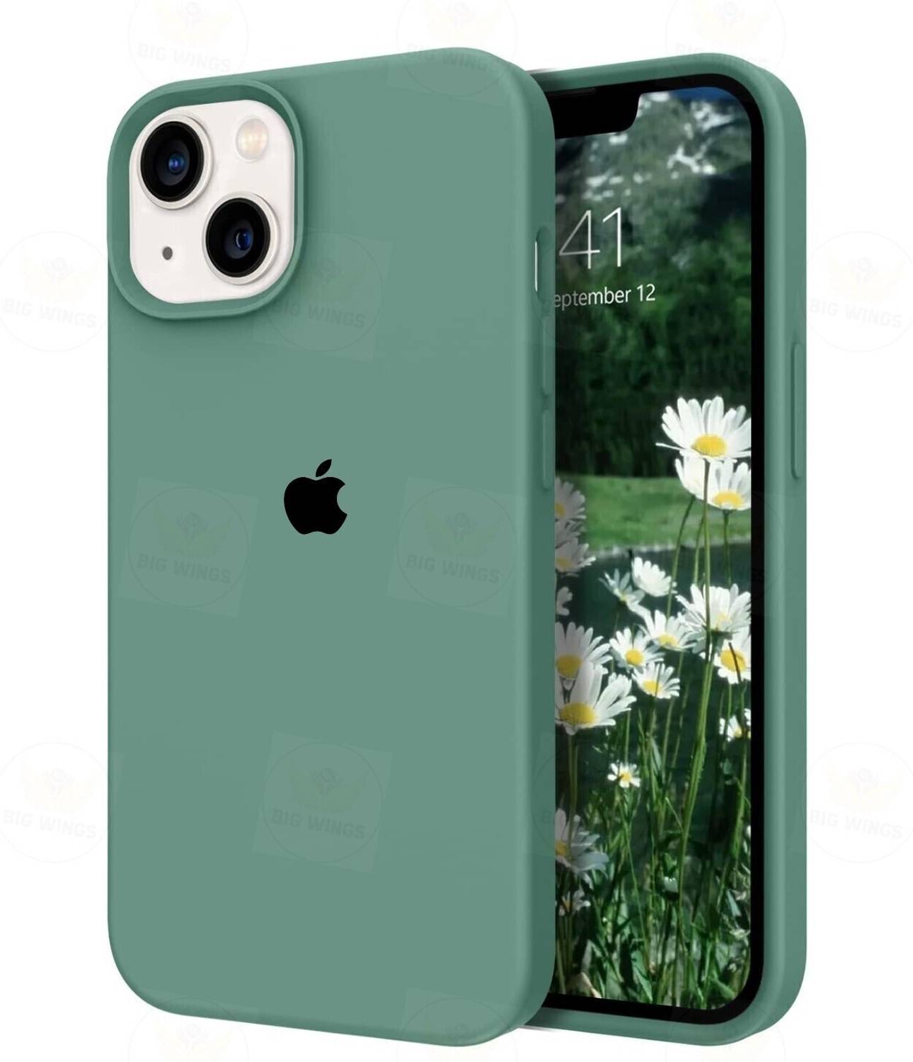 Big Wings Back Cover for APPLE IPHONE 13 5G, APPLE IPHONE 14 5G