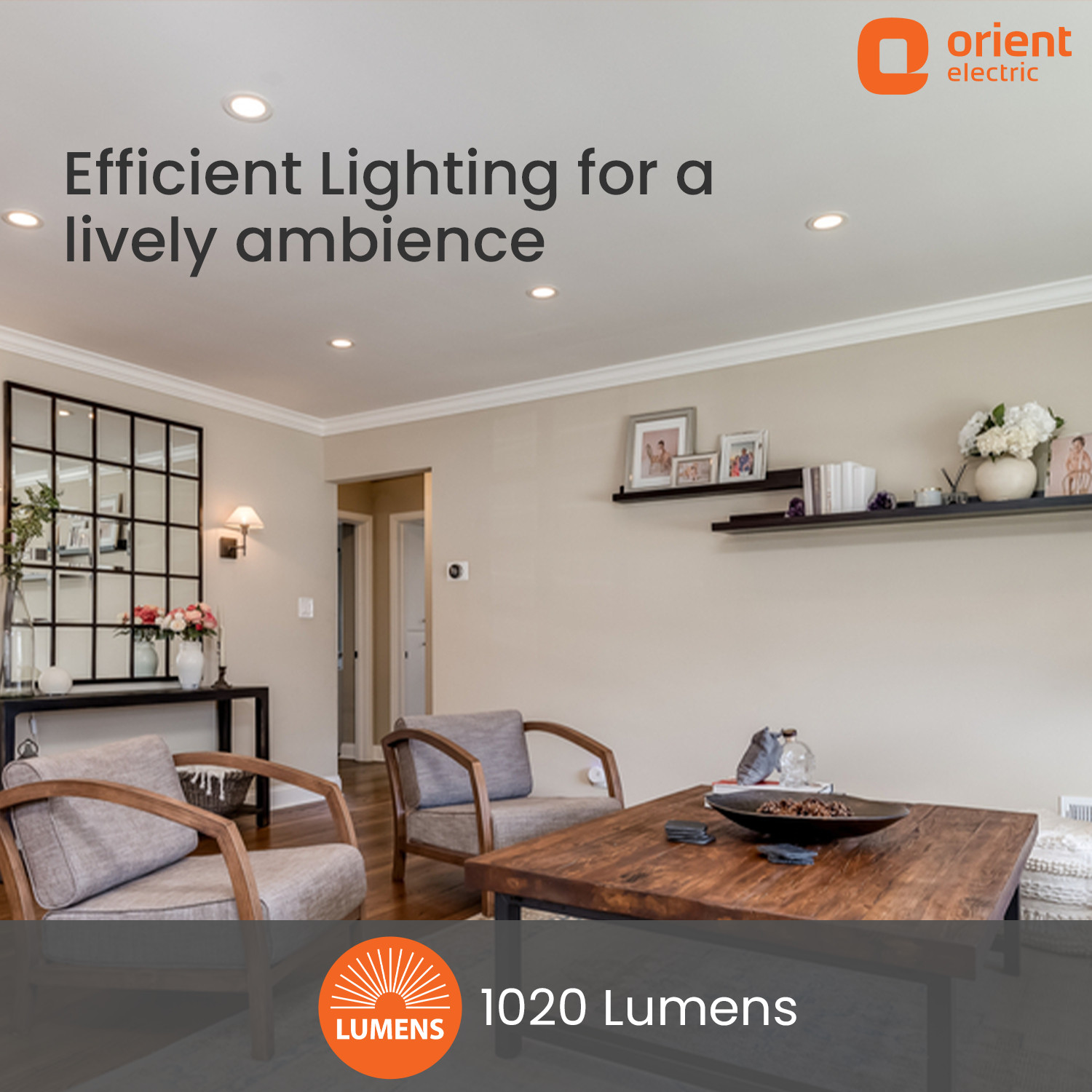 Image of Orient Electric MoonLite 12W Round Recess Down Lighter, Cool White (6500K) - Pack of 10 Downlighter Ceiling Light Ceiling Lamp