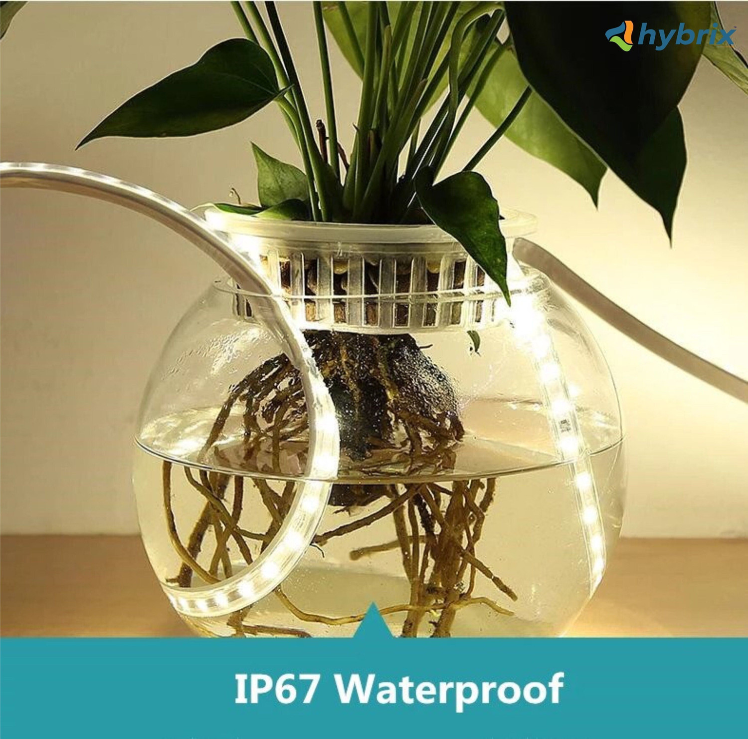 Image of Hybrix LED Ceiling Light (6 Mtr. Roll) Cove Rope Light, Strip Light, Double Row SMD 5730 LED (72 LEDs /Mtr), Waterproof IP67 & Flexible With AC Adaptor Plug, Direct 220v AC, Natural Warm White Color. Recessed Ceiling Light Ceiling Lamp