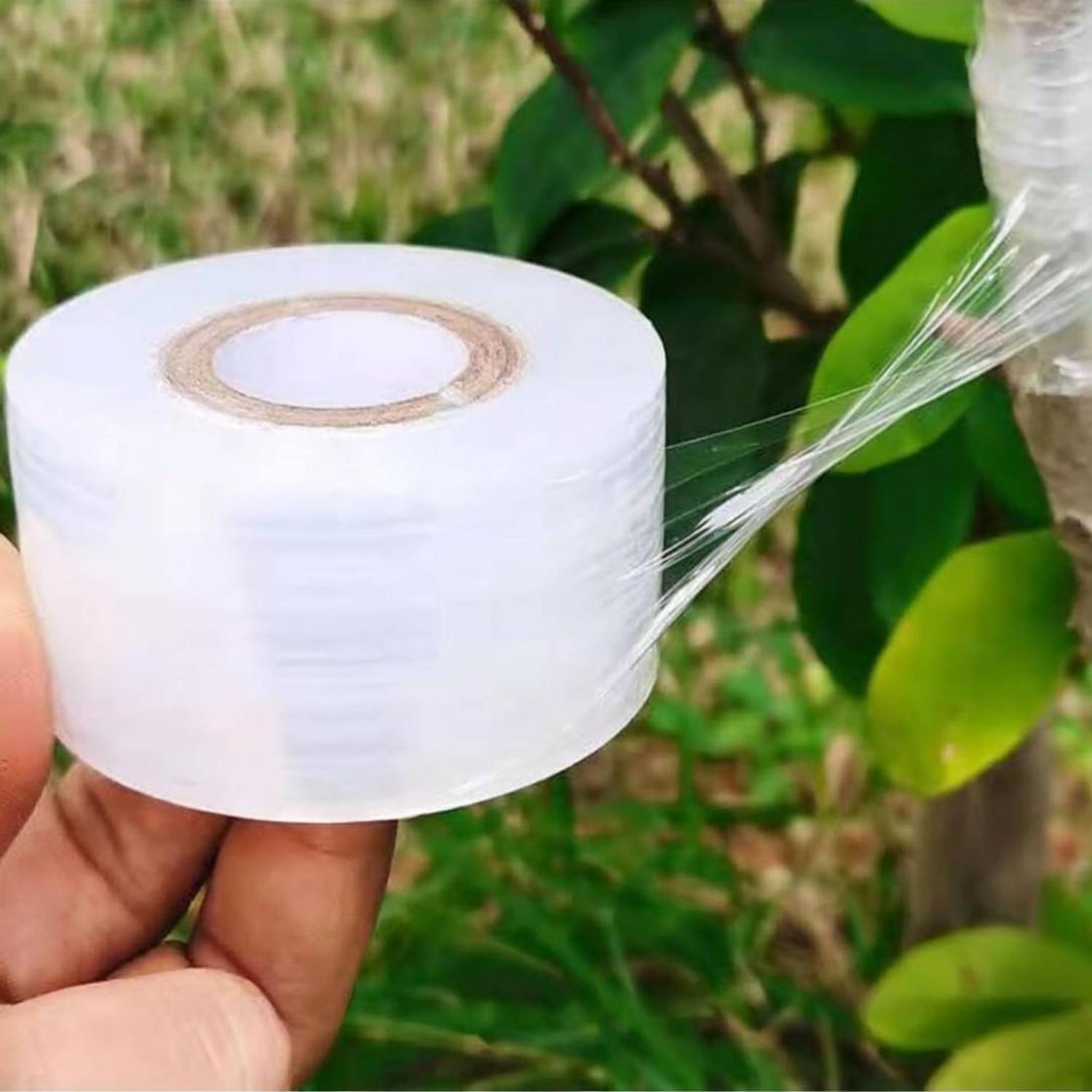 AGRITECH 2 Inch x 300 Meter Grafting Tape TAPE Manual Tape (Manual)