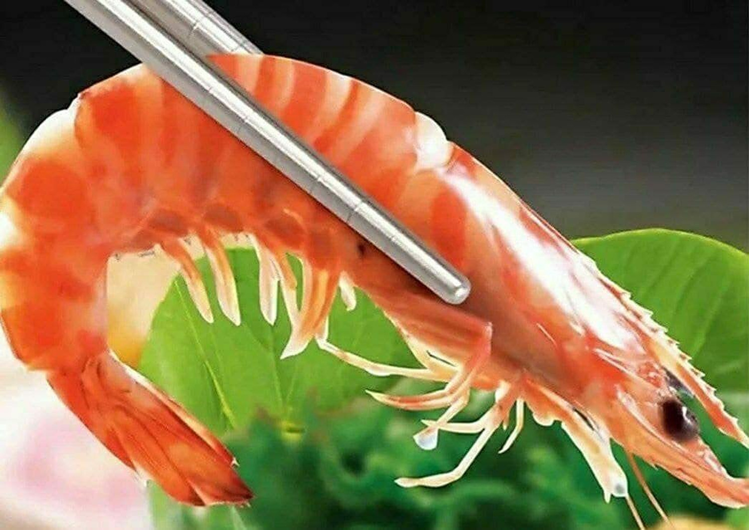 Image of Lishonn Eating Stainless Steel Chinese Chopstick