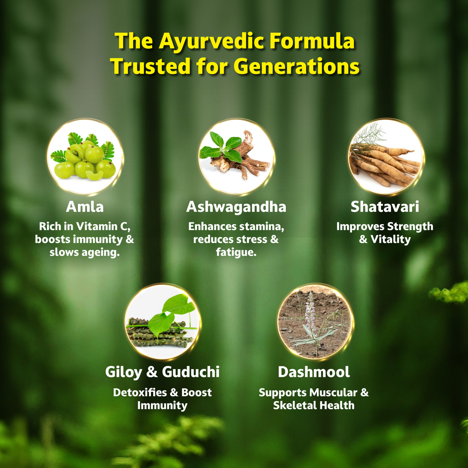 Image of ZANDU Chyawanprash Avaleha | Scientifically proven immunity booster