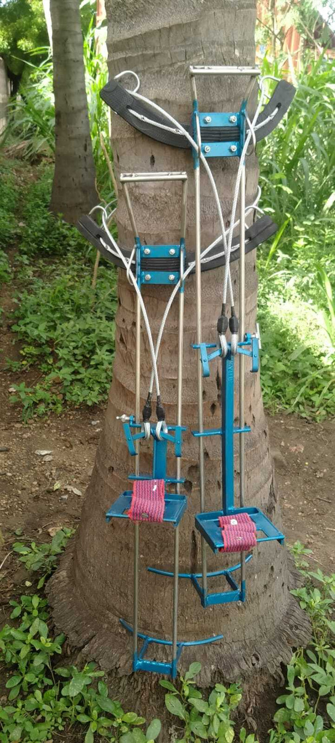 Image of SARA Heavy duty Coconut and Palmyra Tree Climbing Tool Safety Harness