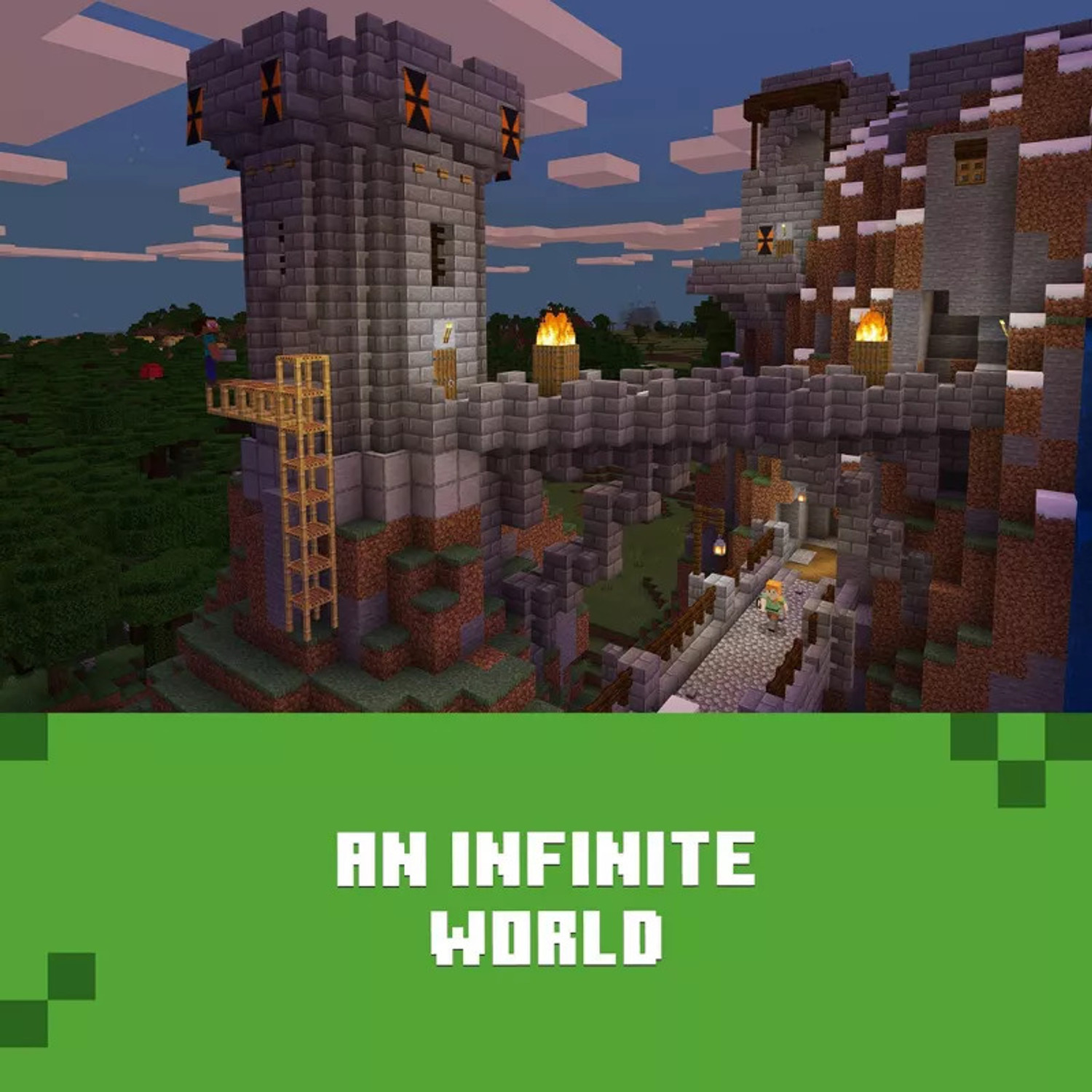 Image of Minecraft Java And Bedrock Account Standard Edition