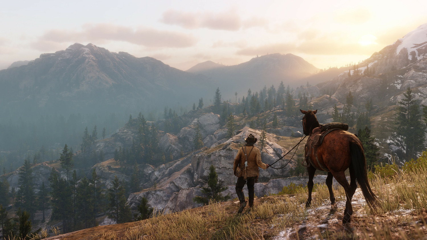 Image of Red Dead Redemption 2 PC Orignal Key (no cd /dvd)
