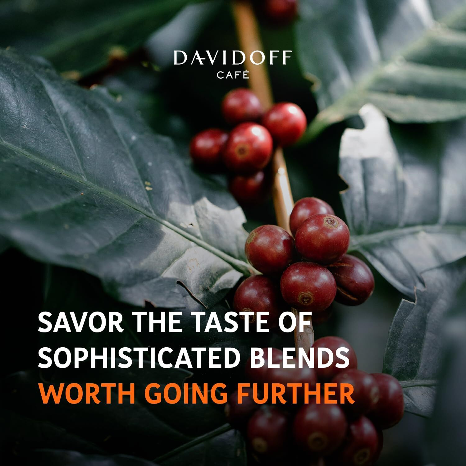 Image of Davidoff Rich Aroma 10 /12 Intensity Instant Coffee