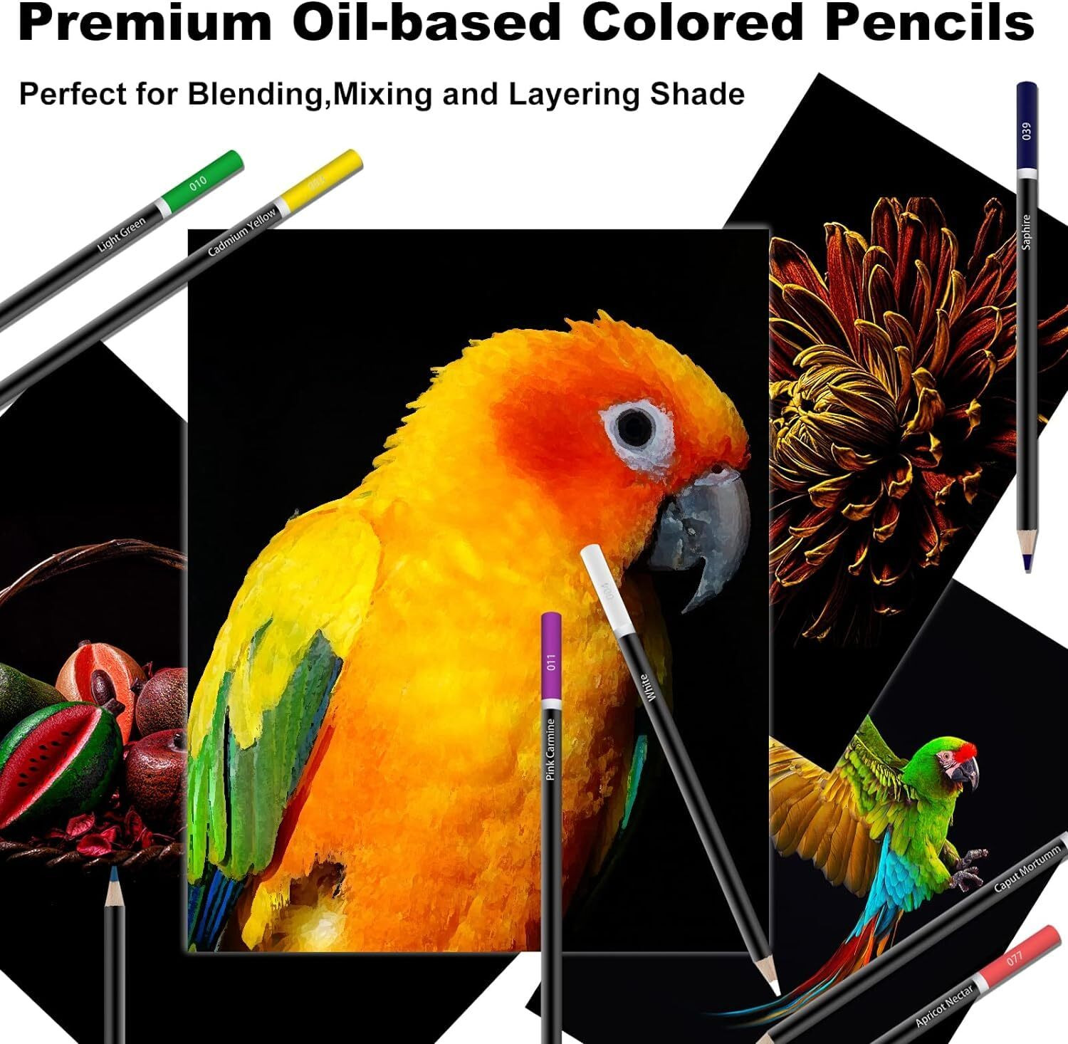 Image of Eduwation Pencil Colors Round Shaped Color Pencils