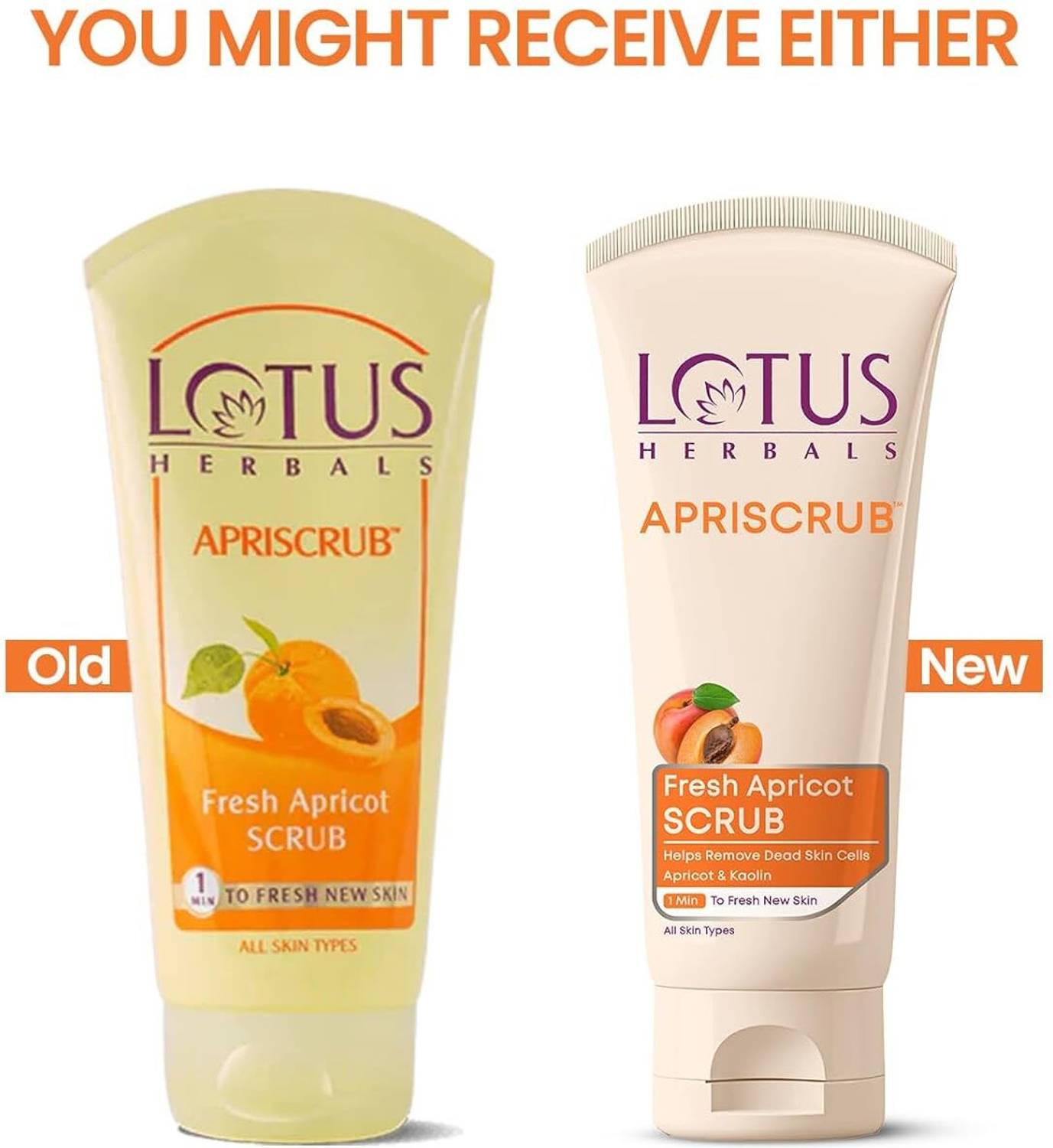 Lotus Herbal Apricot Scrub - Image 2
