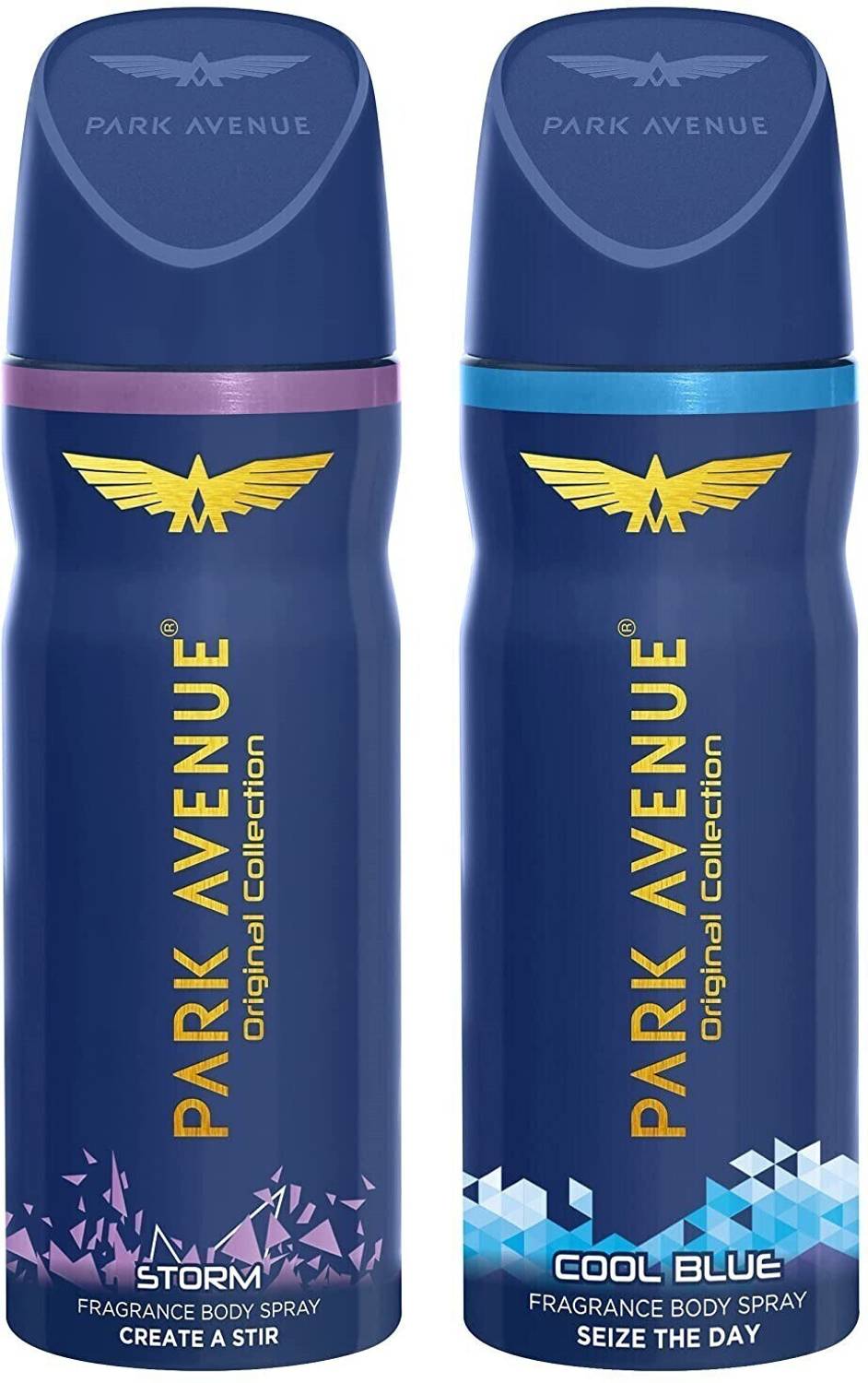 PARK AVENUE Deodorant Storm and Cool Blue for Men Pack of 2, 150