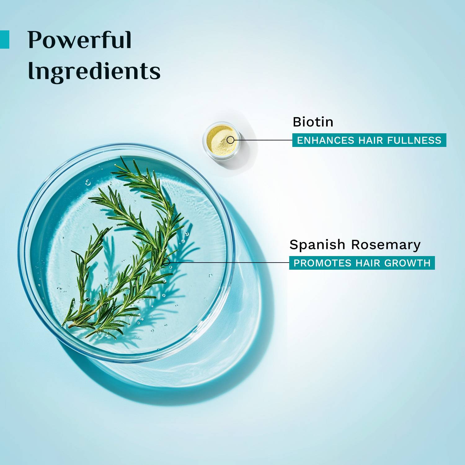 Pilgrim Spanish Rosemary & Biotin Hair Oil 100ml + Serum 30ml - Image 5