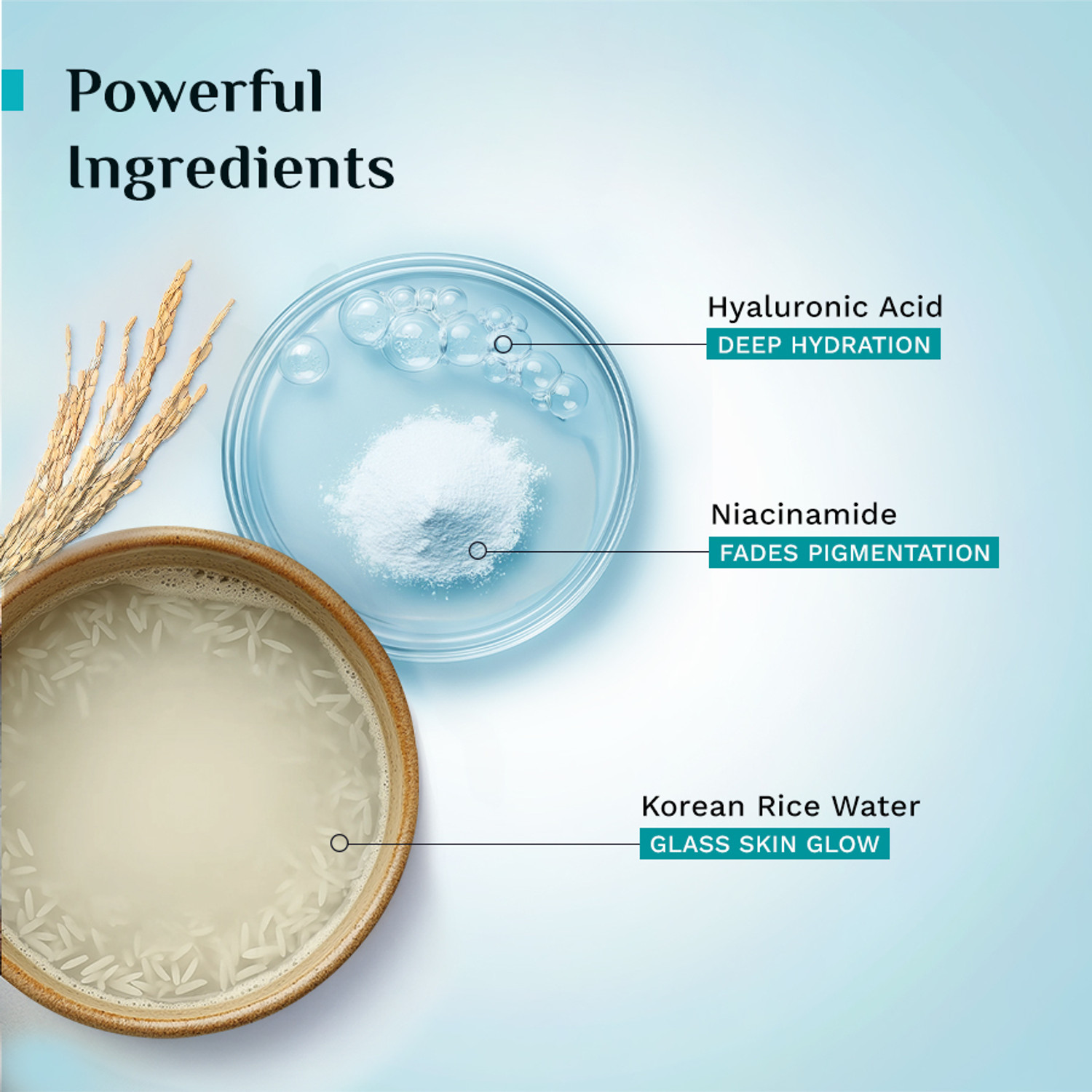 Image of Pilgrim Korean Rice Water Facewash, Hydra Glow Moisturizer & Gel Sunscreen Combo