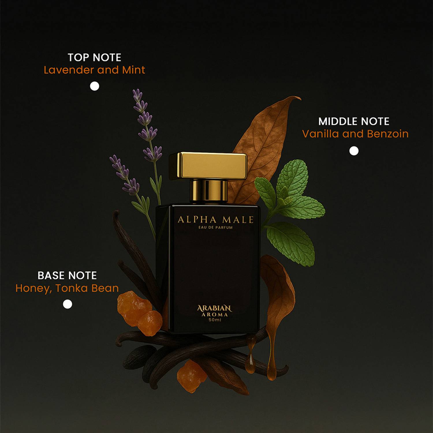 Arabian Aroma Alpha Male Eau de Parfum 50 ml - Image 3