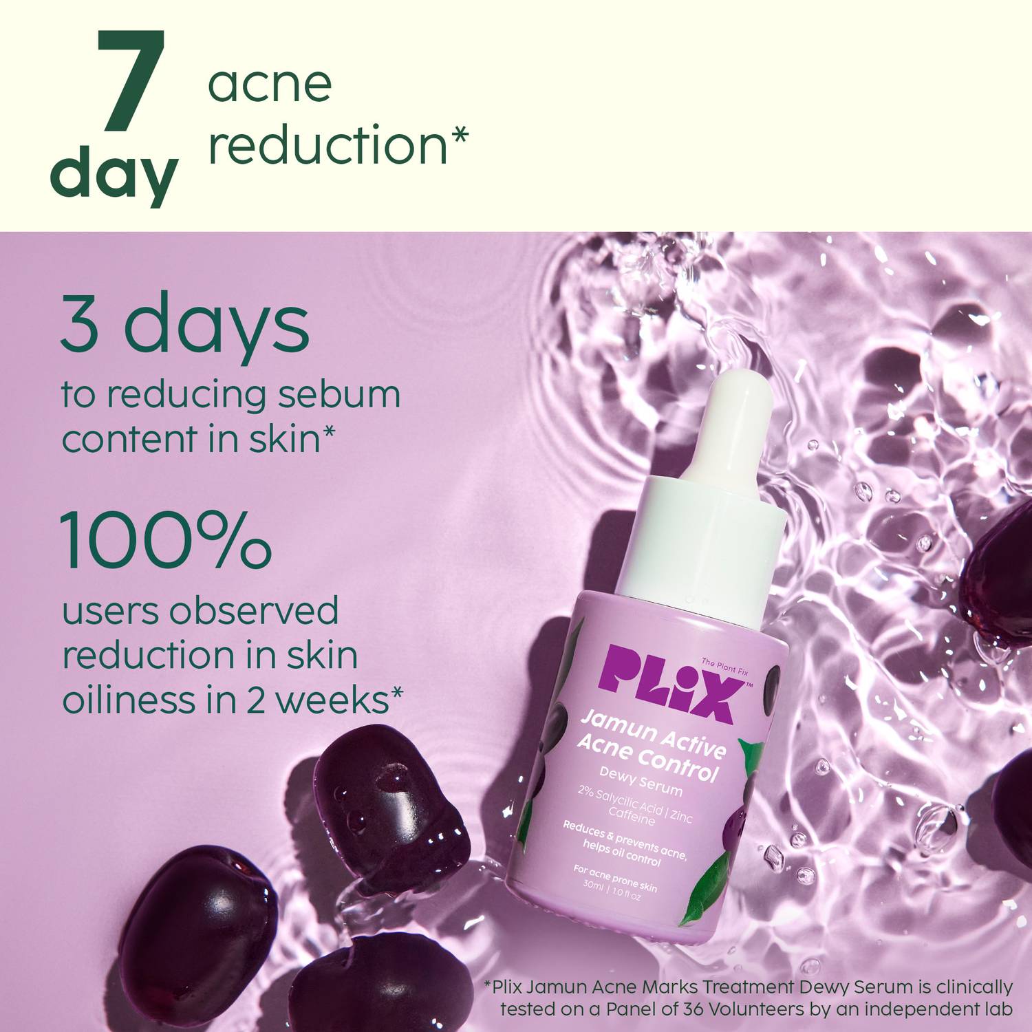 The Plant Fix Plix Jamun Face Wash and Serum Combo - Image 4