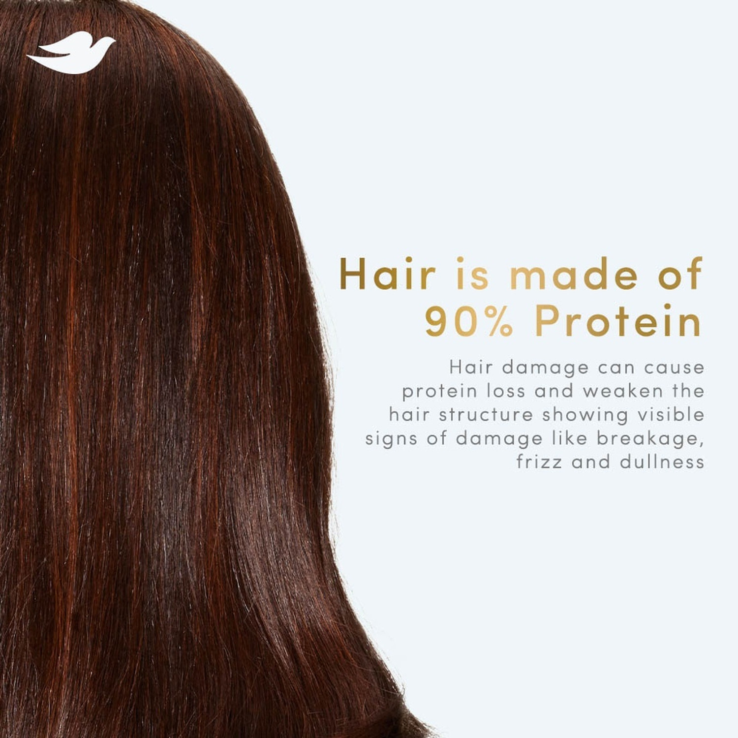 Image of DOVE Hair Fall Rescue Shampoo 340ml and conditioner 175 ml