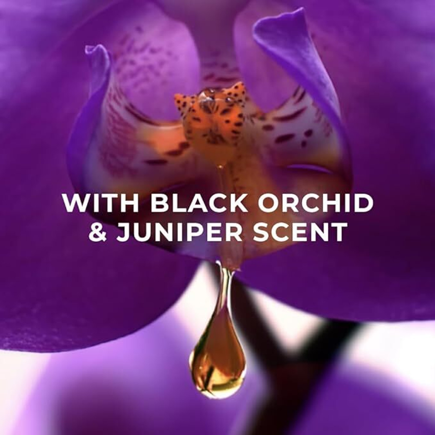 Image of LUX Magical Orchid Body Wash 12H Long Lasting Fragrance