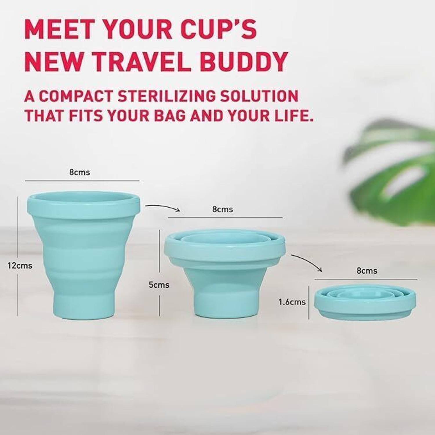 Image of SIRONA Foldable Menstrual Cup Sterilizing Container & Reusable Menstrual Cup - Small