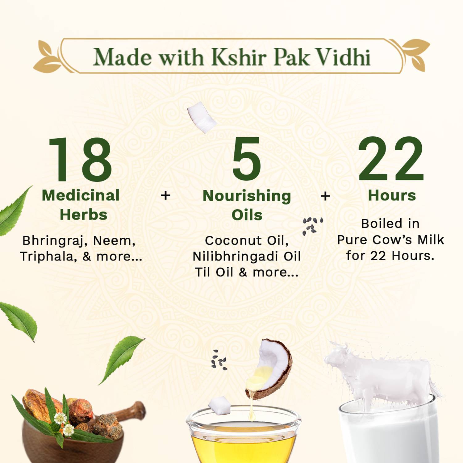 SESA Ayurvedic Hair Growth Oil Pack of 2 · 100 ml (200 ml total) - Image 2