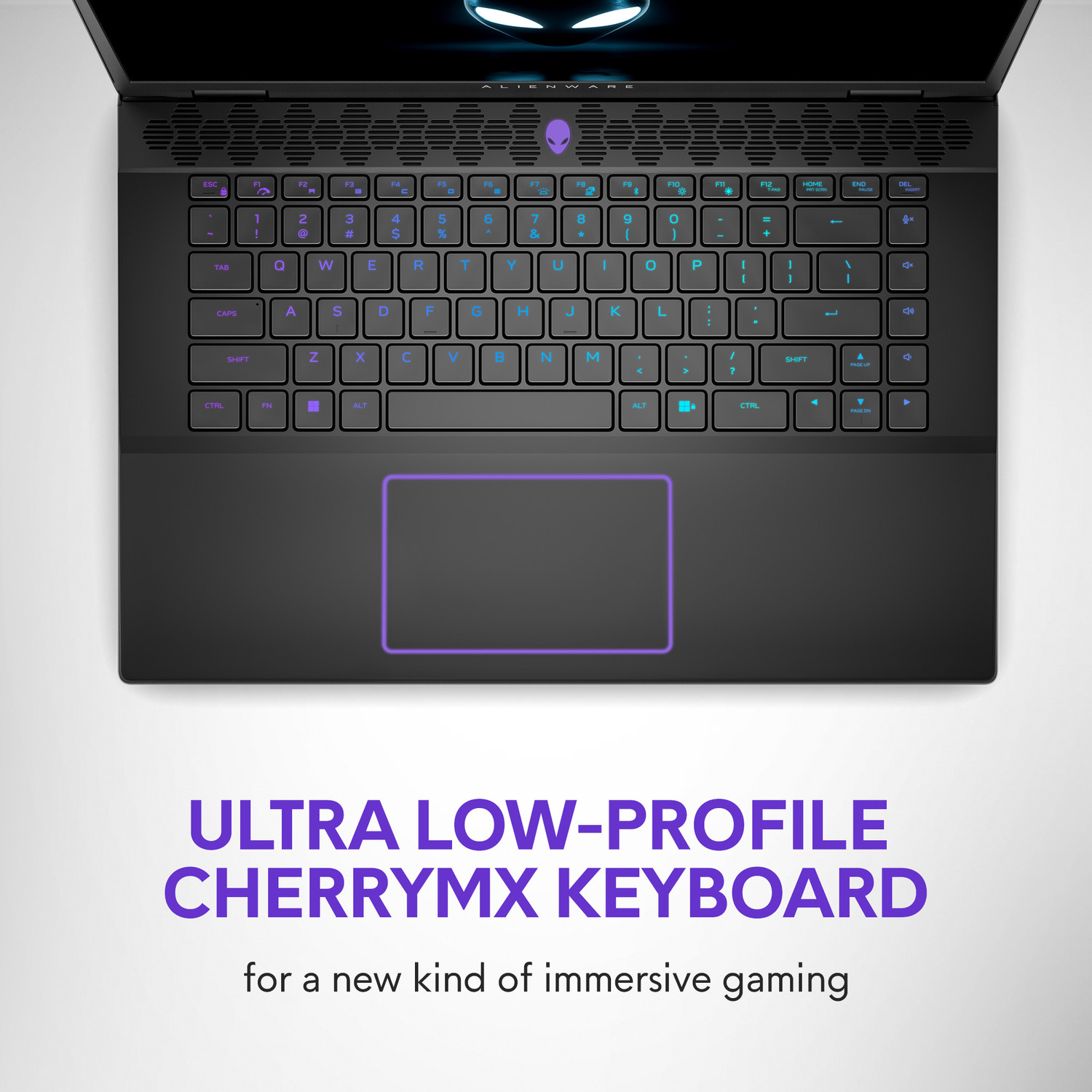 Image of DELL Alienware Intel Core i9 14th Gen 14900HX - (32 GB /1 TB SSD /Windows 11 Home /12 GB Graphics /NVIDIA GeForce RTX 4080 /165 Hz) m18 R2 Gaming Laptop