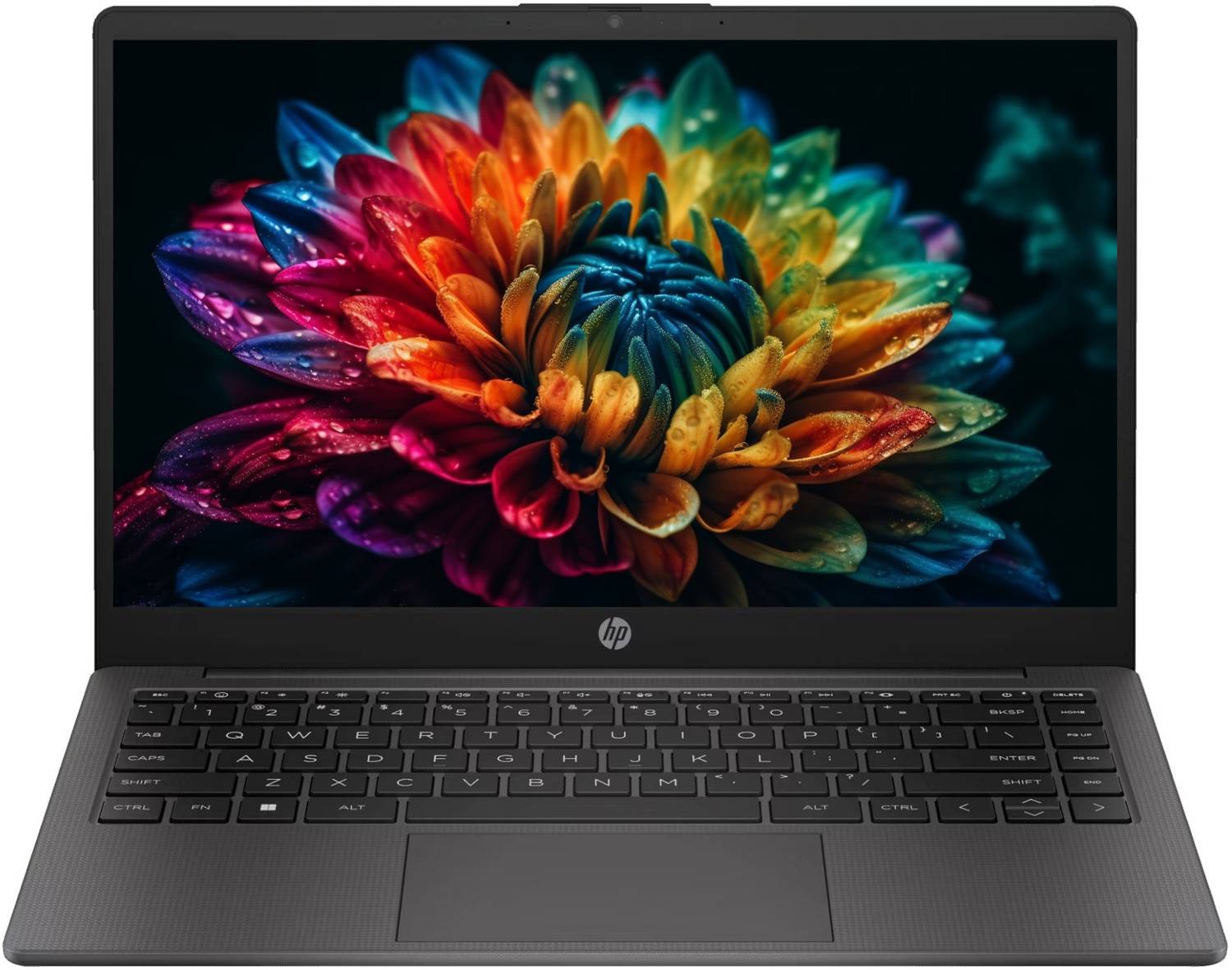 HP 245 G10 (2025) AMD Ryzen 5 Quad Core 7520U - (8 GB/512 GB SSD