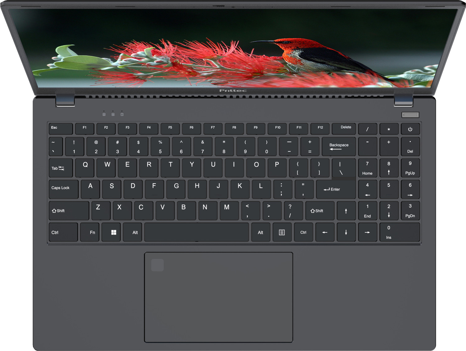 Image of Prittec Intel Core i5 12th Gen intel i5 12th gen - (8 GB /512 GB SSD /8 GB EMMC Storage /Windows 11 Home) N156P31 Laptop