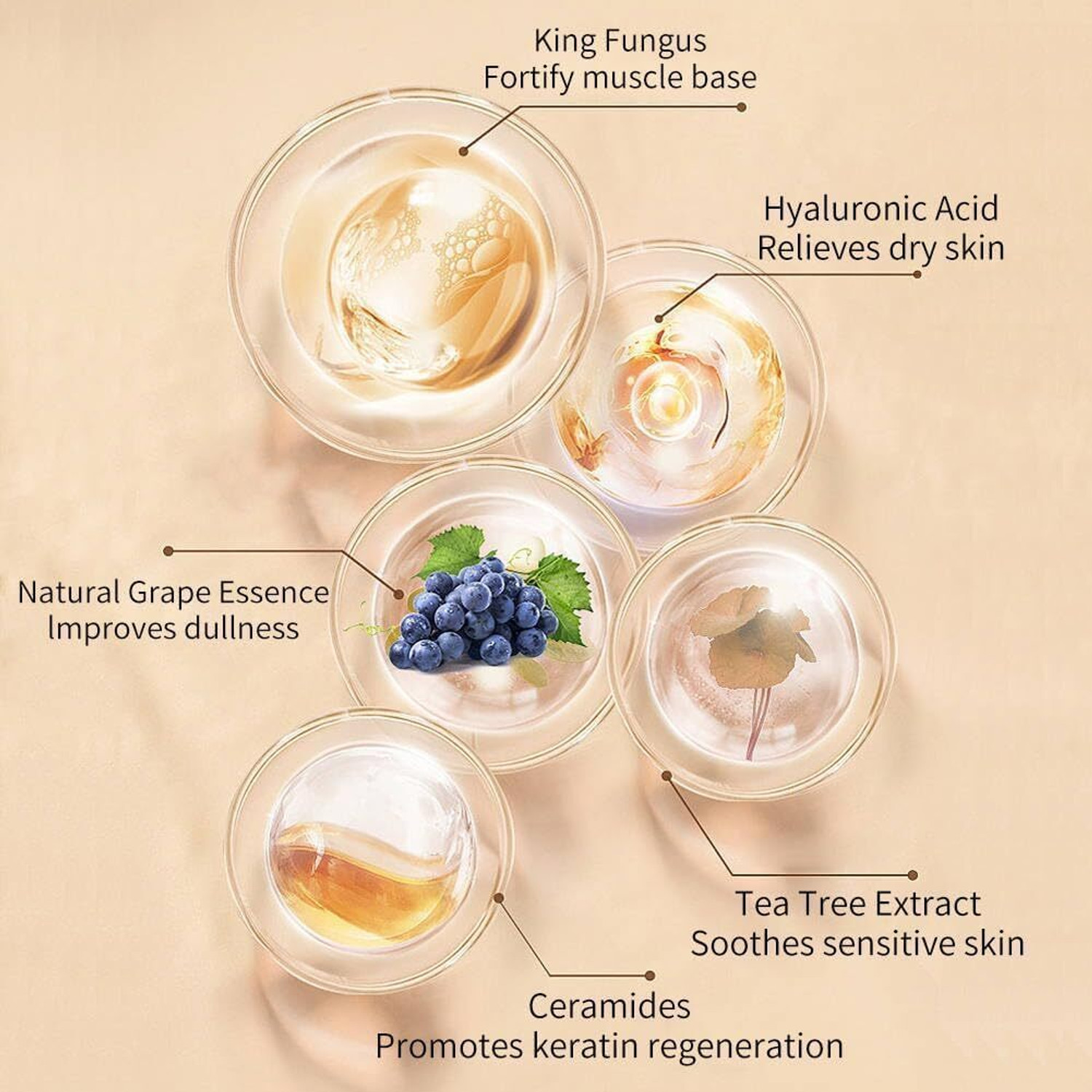 Image of Morbee 3IN1+6IN1 CONCEALER | GLOSSY LOOK | COMBO PACK Concealer BR WW17 Concealer