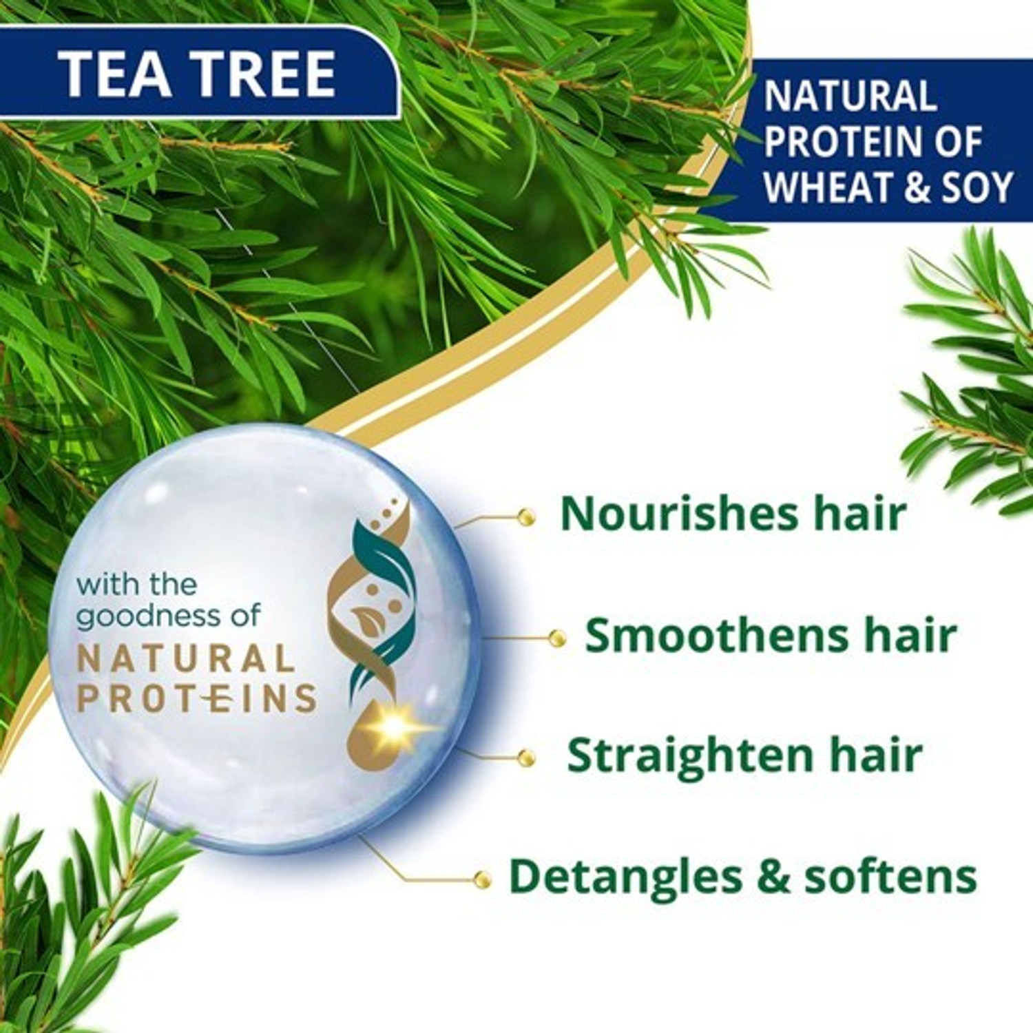 Image of HIMALAYA Anti-Dandruff Tea Tree Conditioner